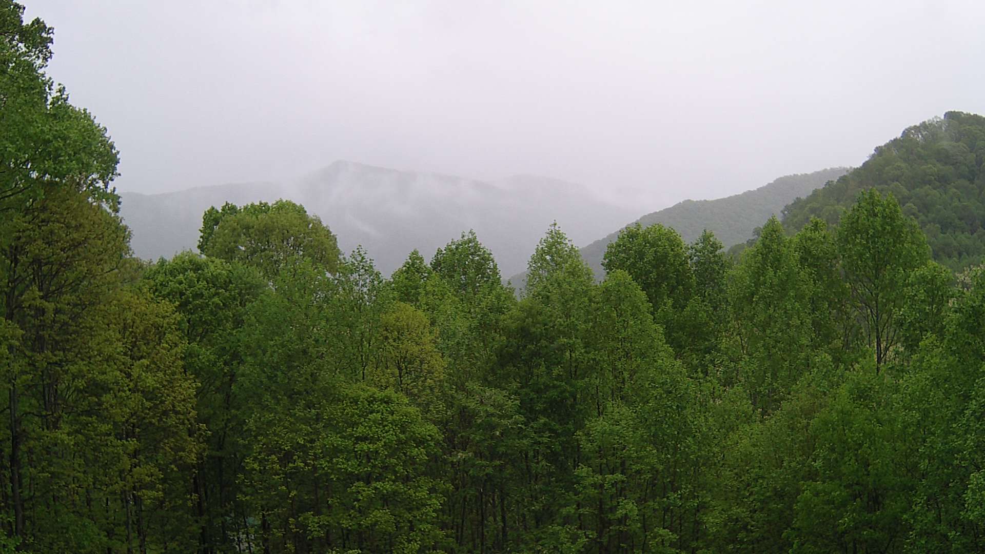 click for next image... slideshow image