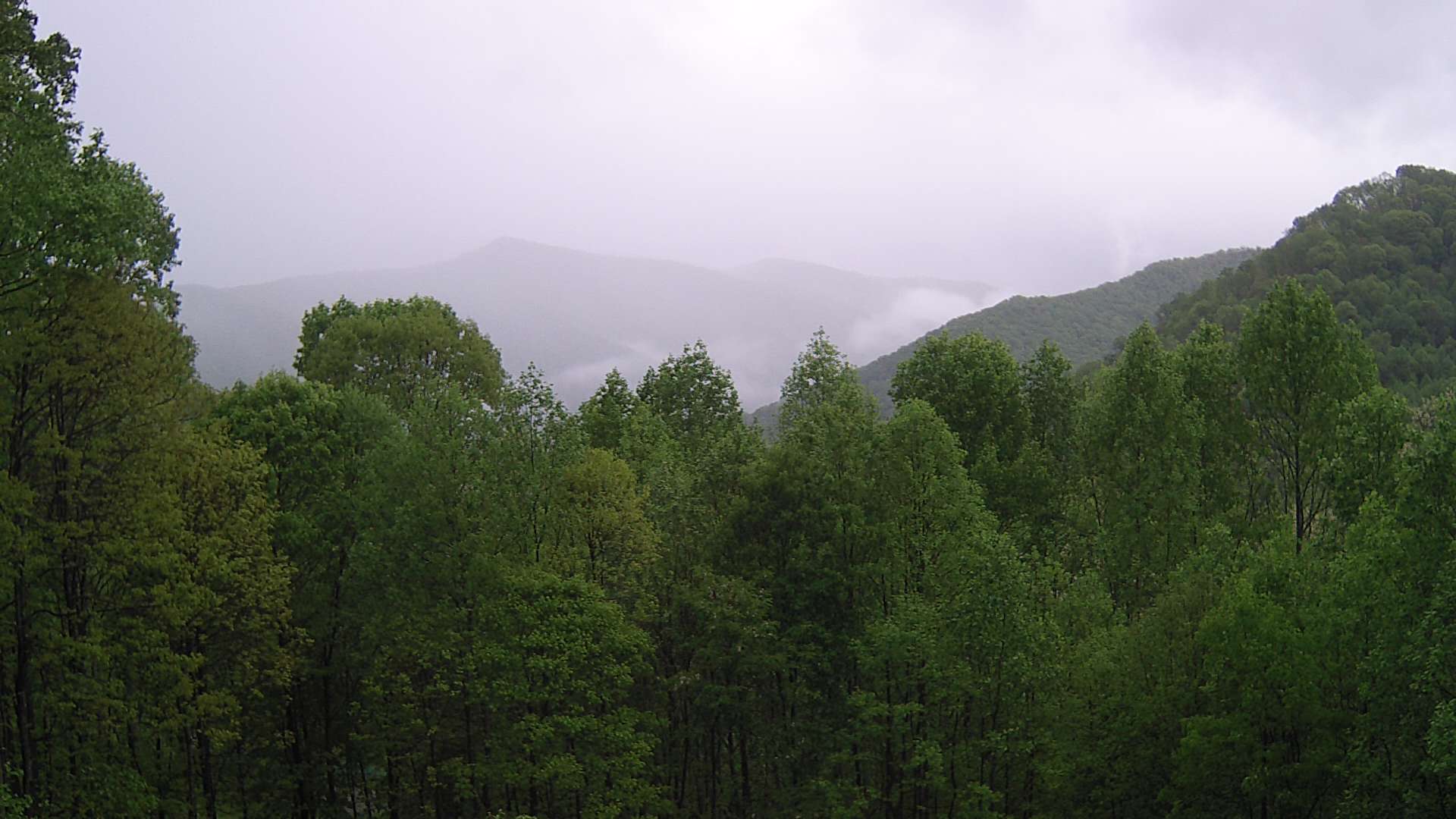click for next image... slideshow image