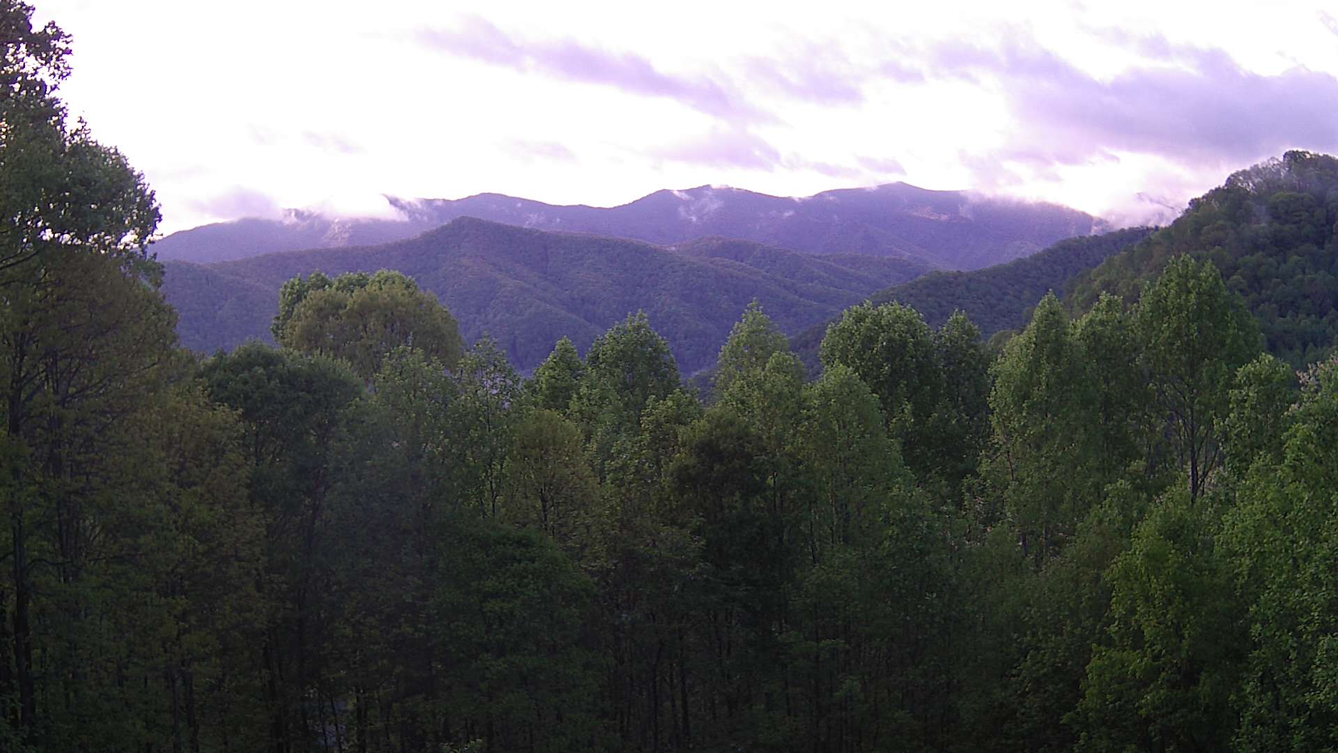click for next image... slideshow image