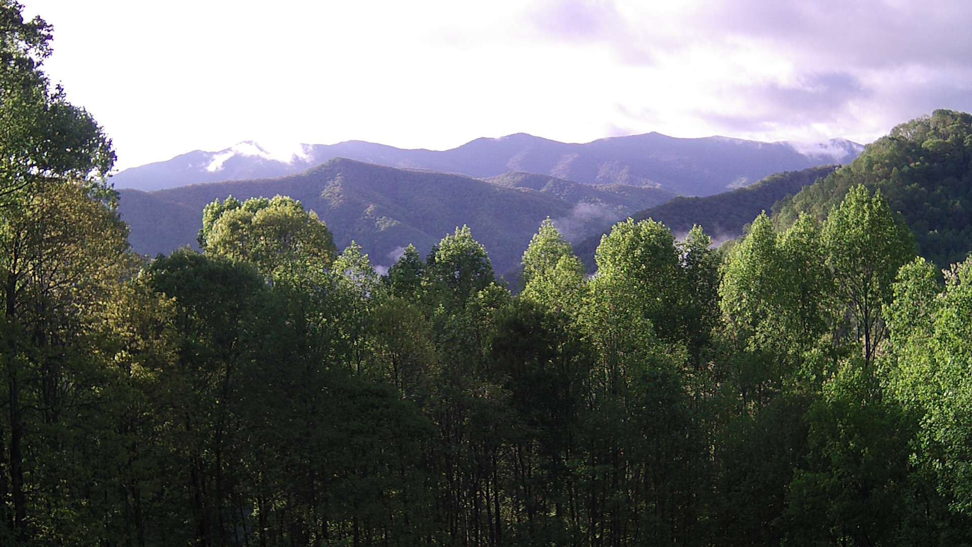 click for next image... slideshow image