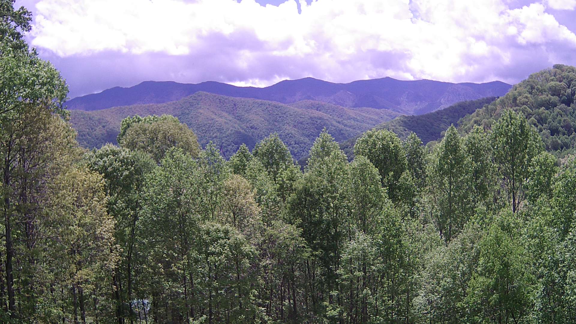 click for next image... slideshow image