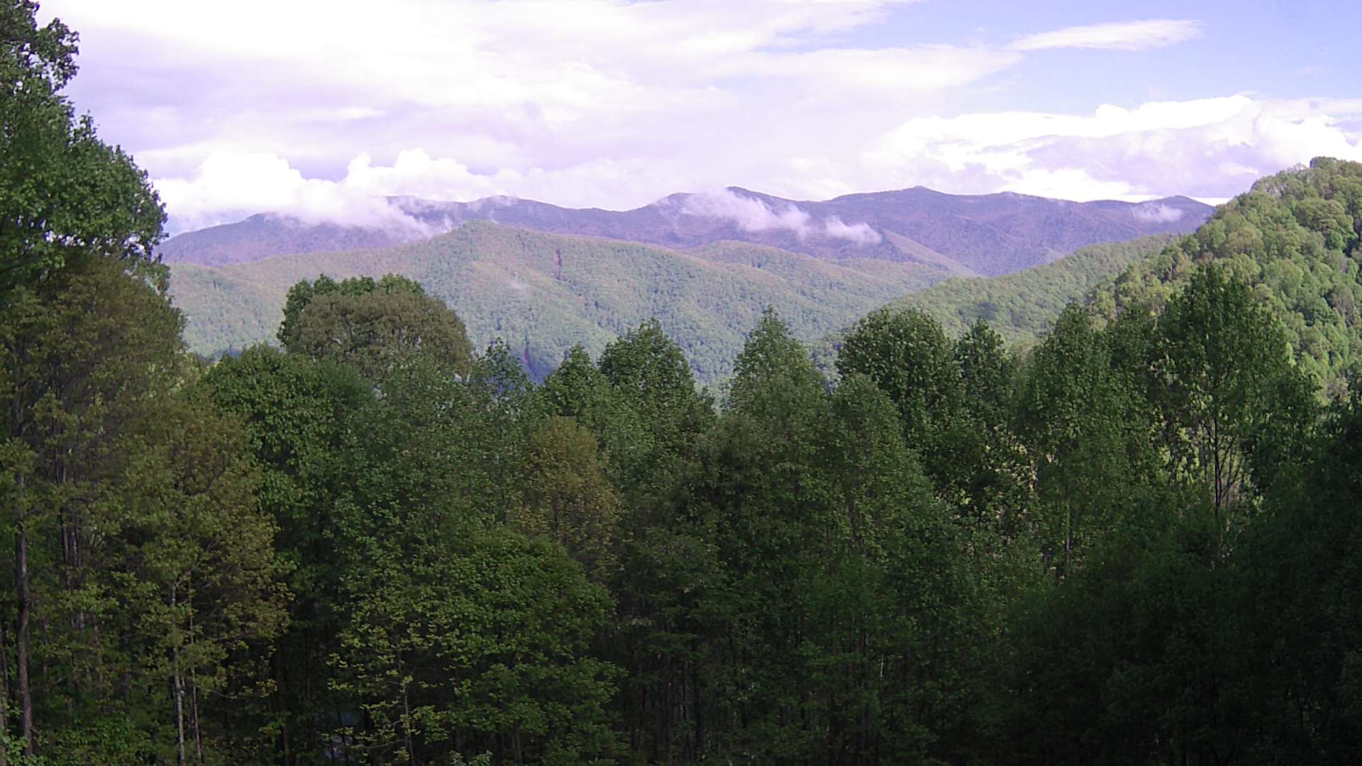 click for next image... slideshow image