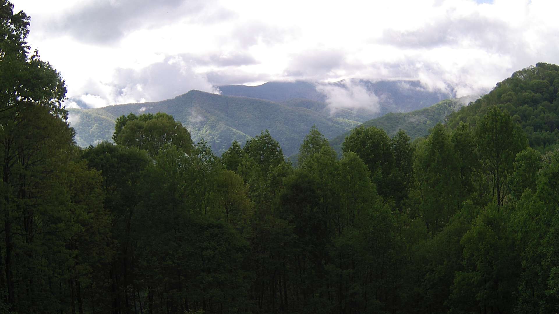click for next image... slideshow image
