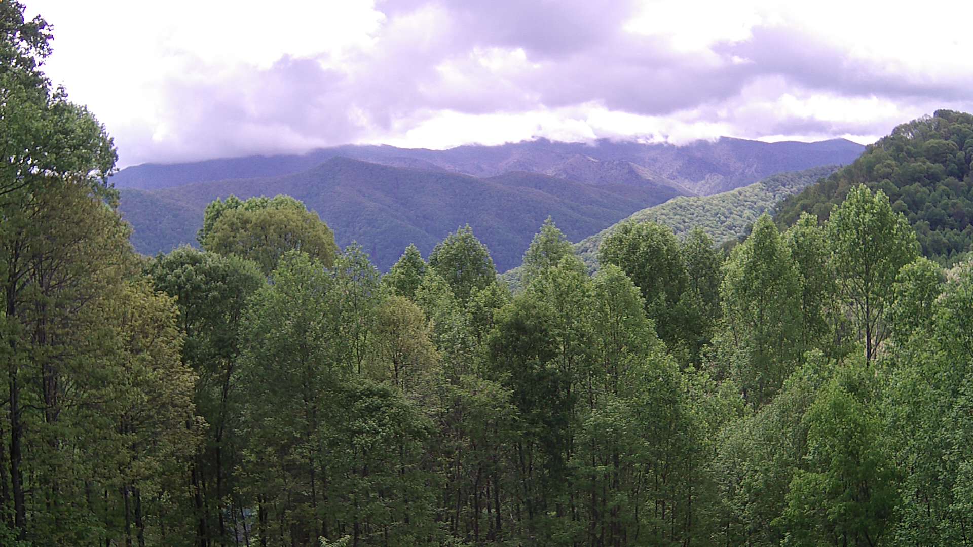 click for next image... slideshow image