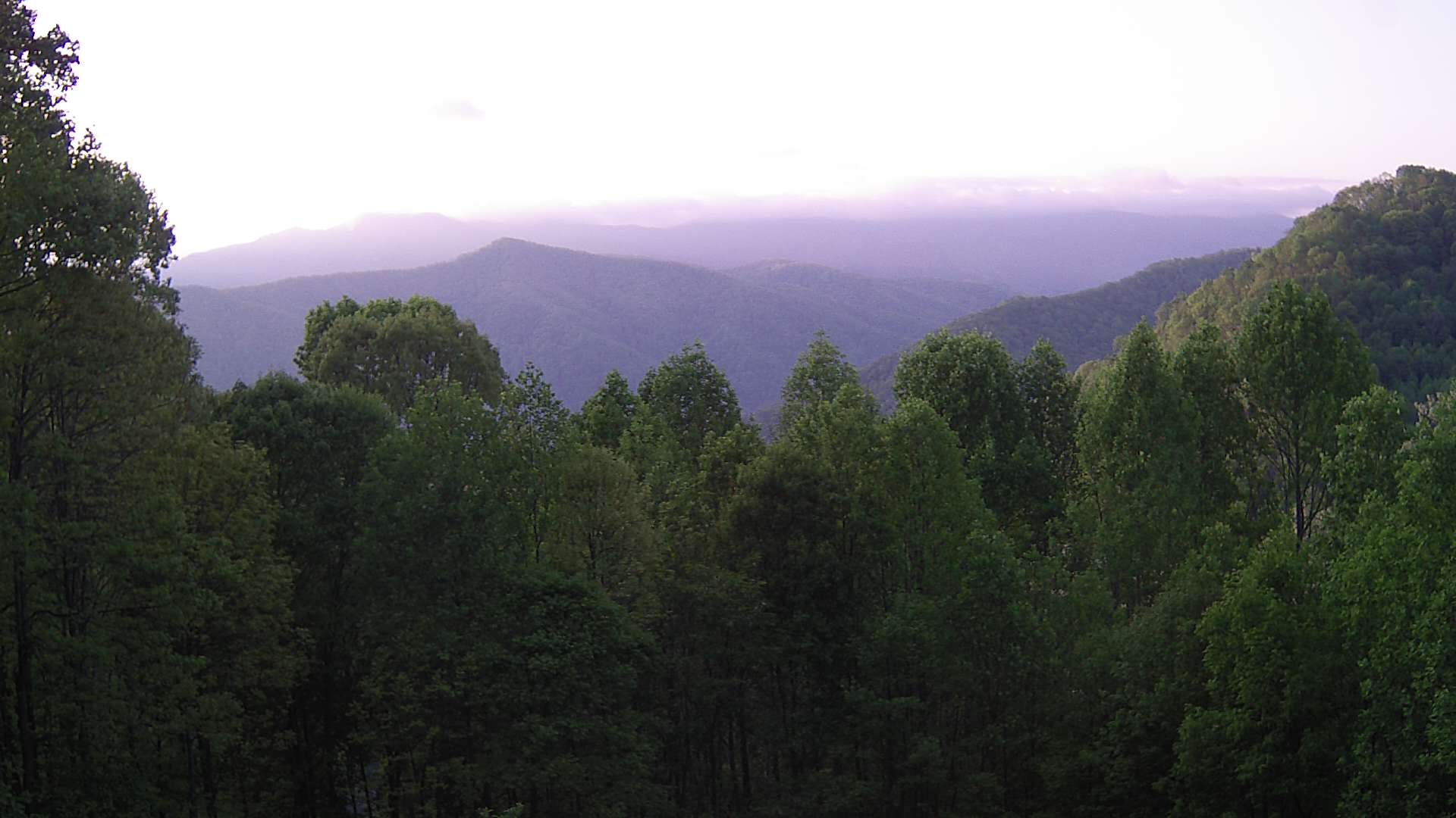 click for next image... slideshow image