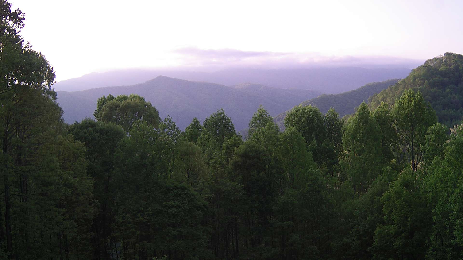 click for next image... slideshow image