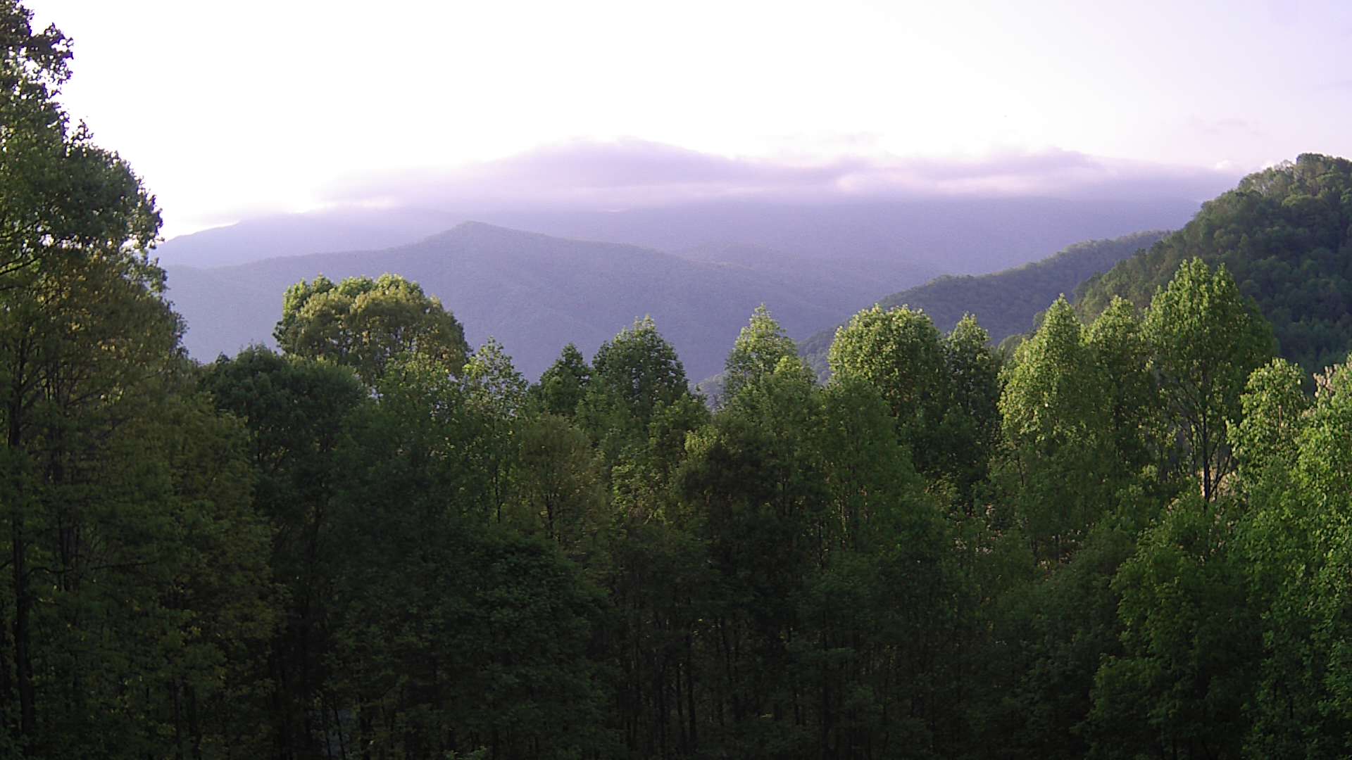 click for next image... slideshow image