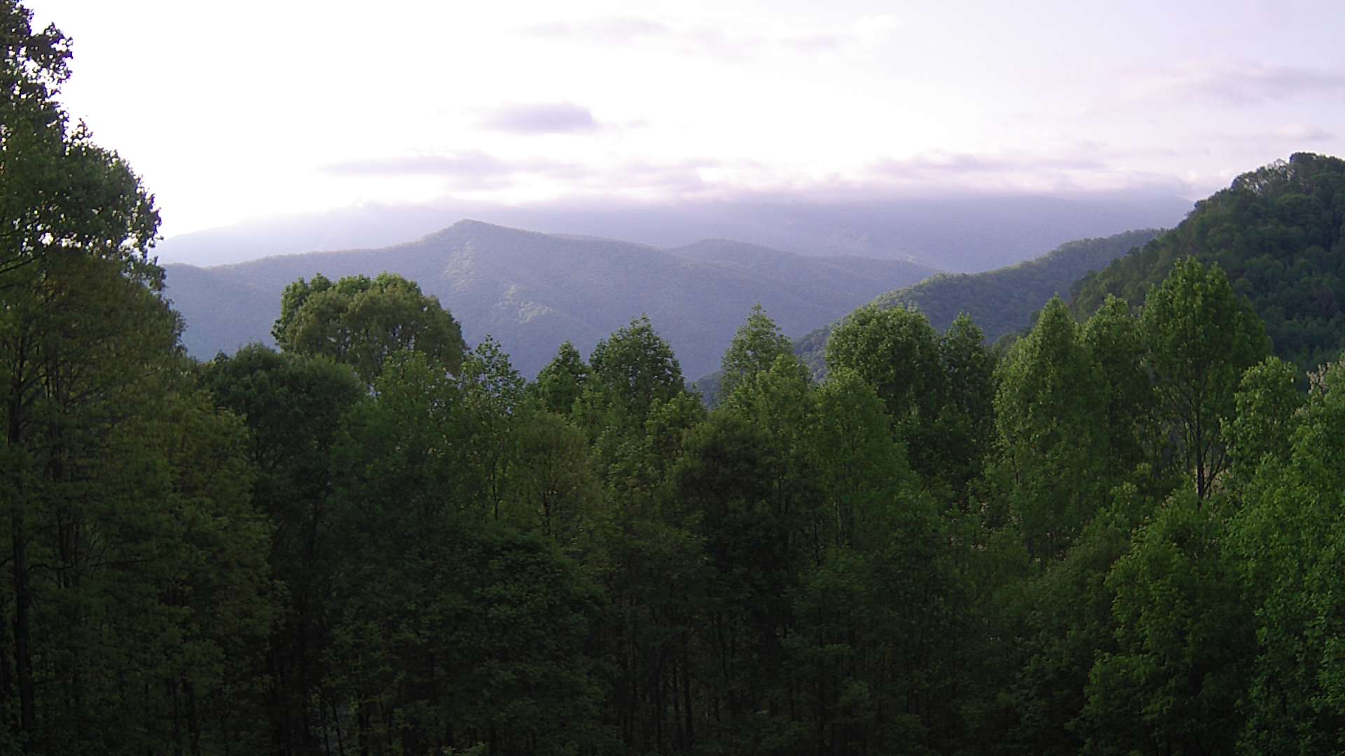 click for next image... slideshow image