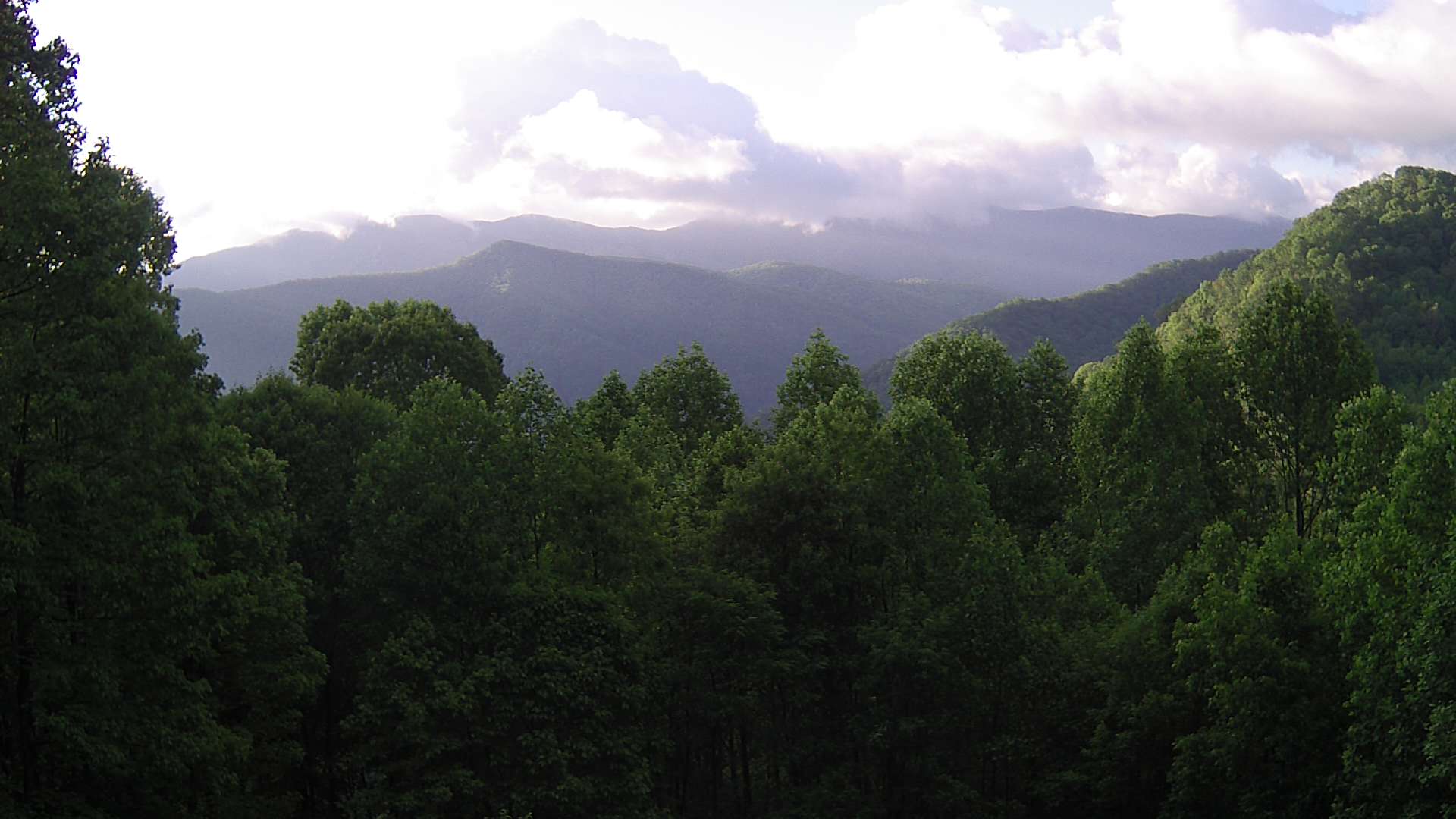 click for next image... slideshow image
