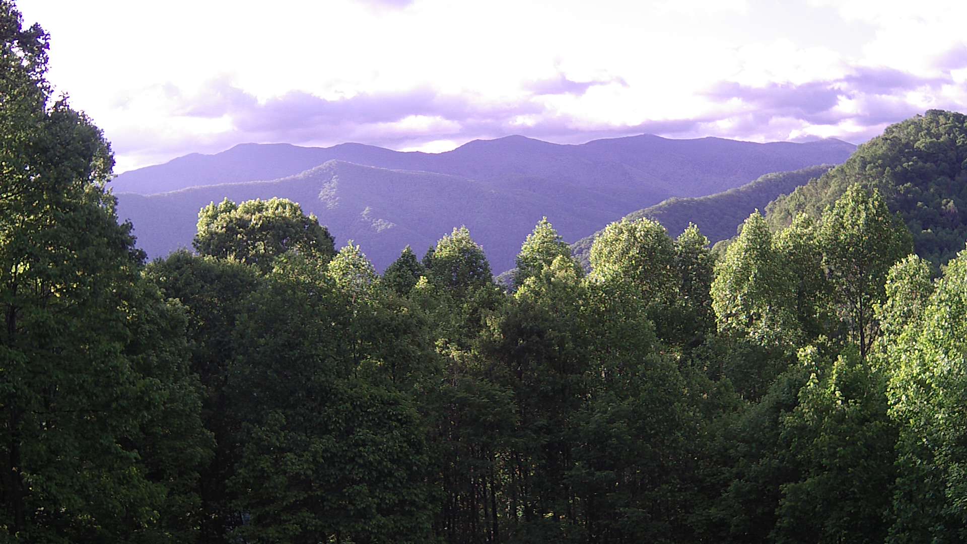 click for next image... slideshow image