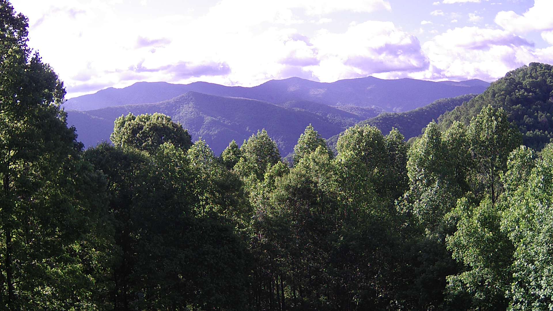 click for next image... slideshow image
