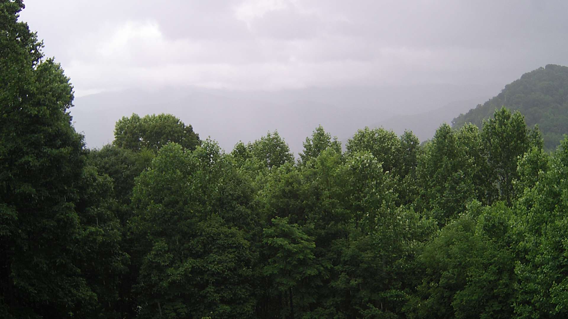 click for next image... slideshow image