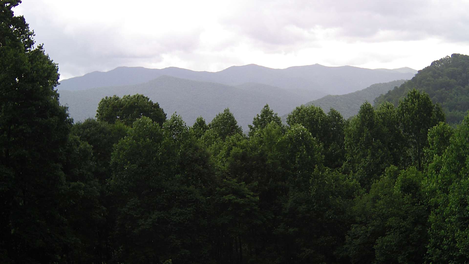click for next image... slideshow image