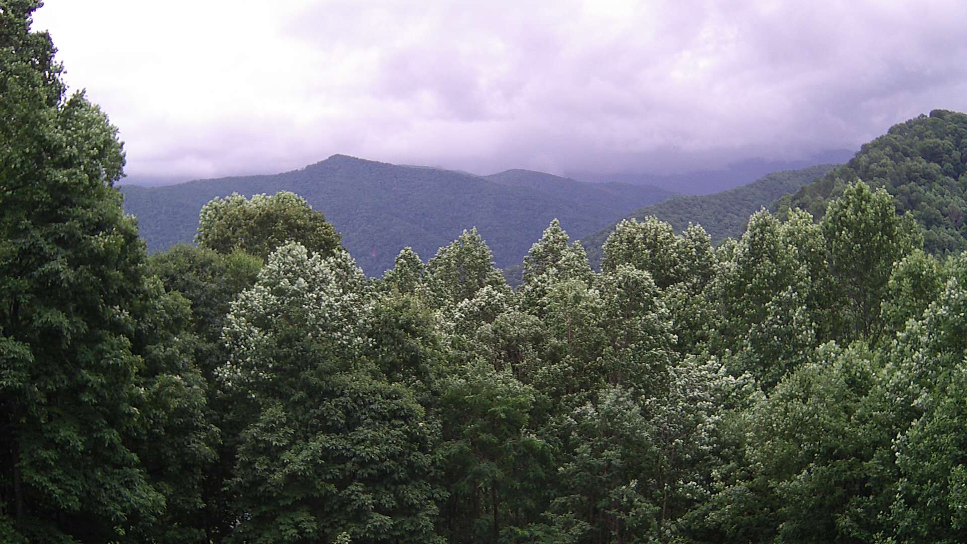 click for next image... slideshow image
