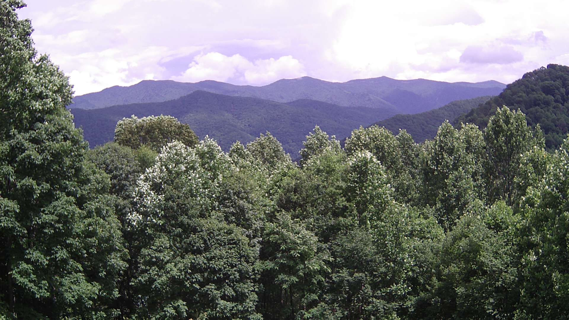 click for next image... slideshow image