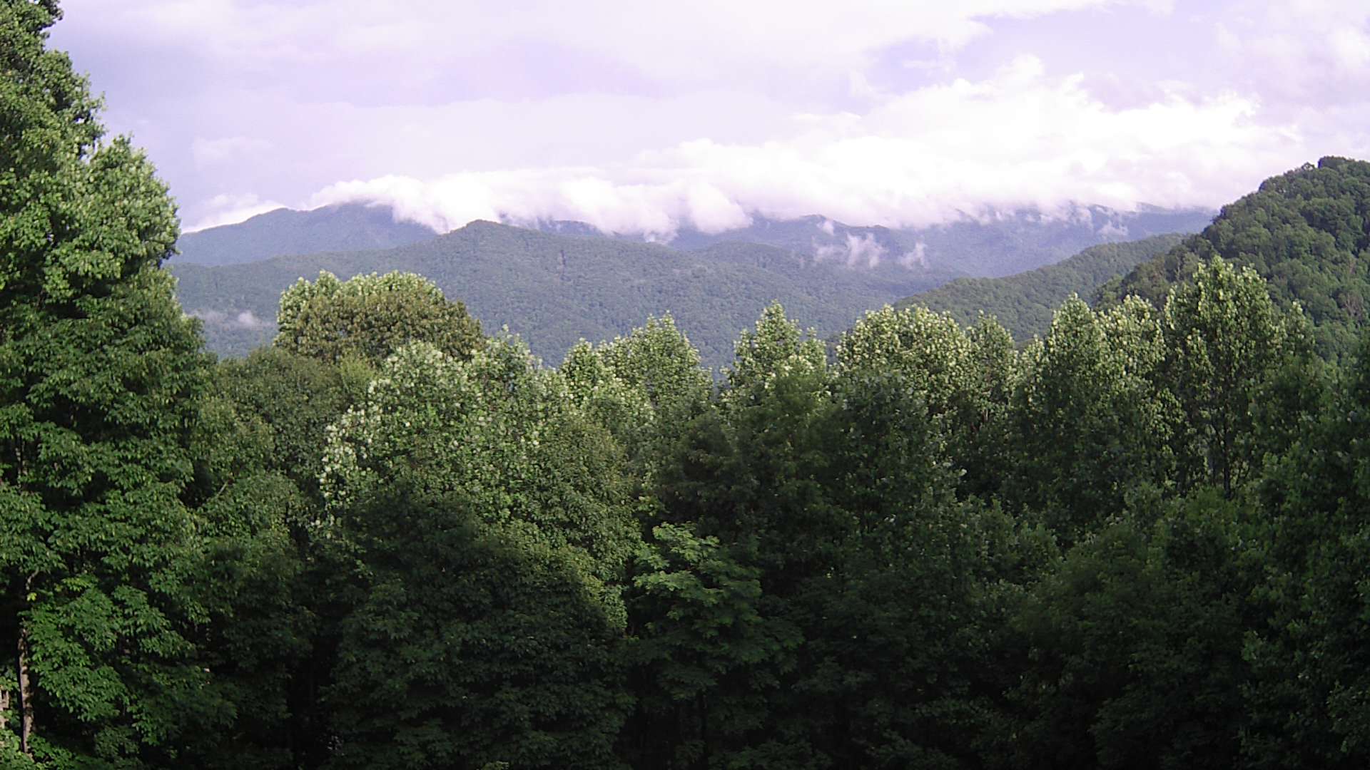 click for next image... slideshow image