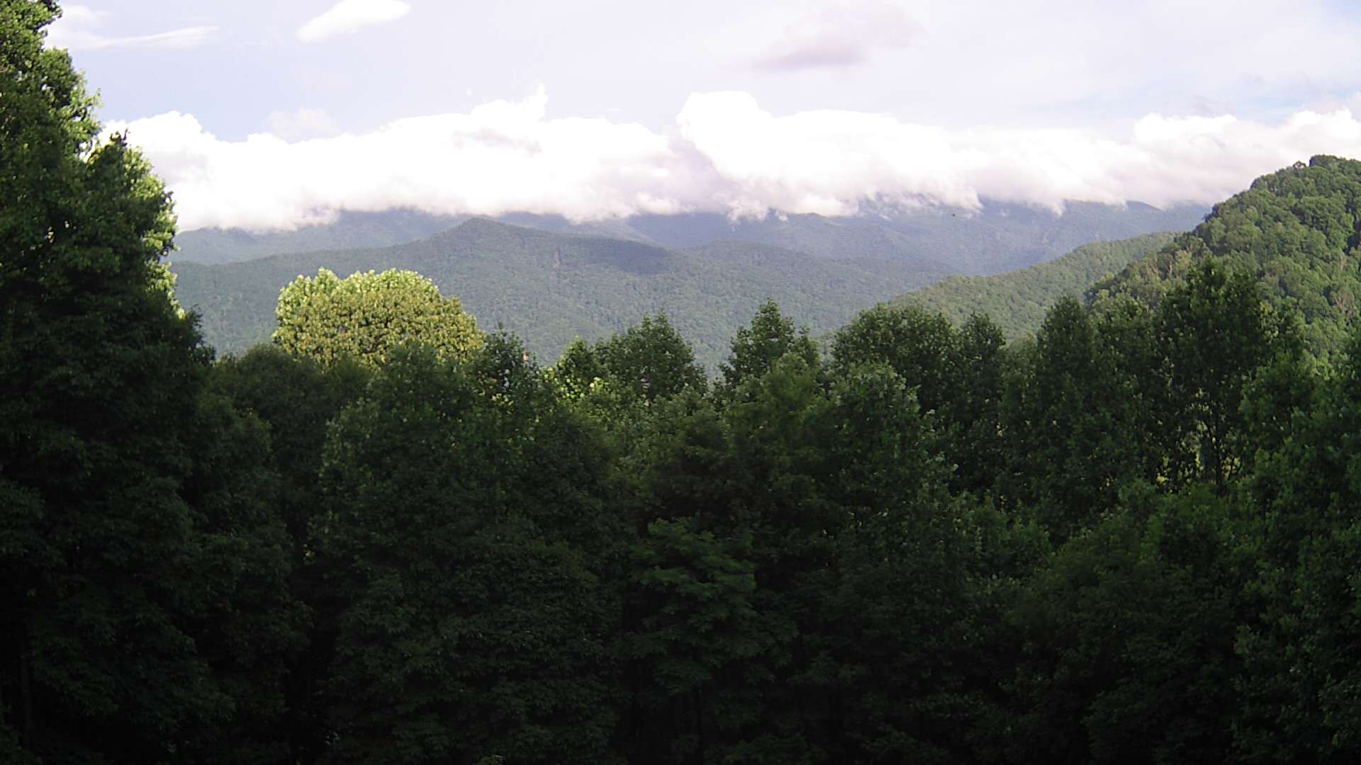 click for next image... slideshow image