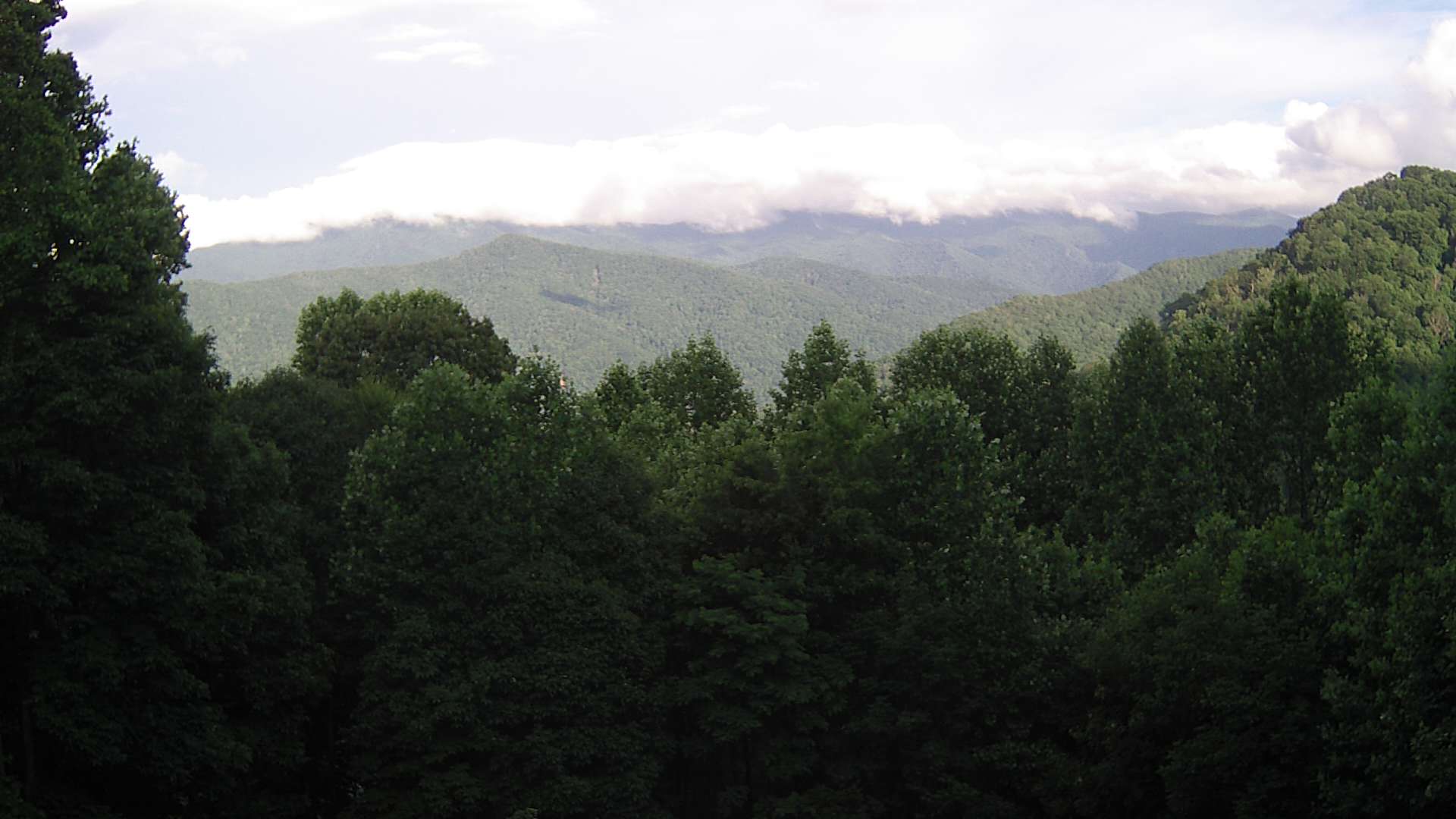 click for next image... slideshow image