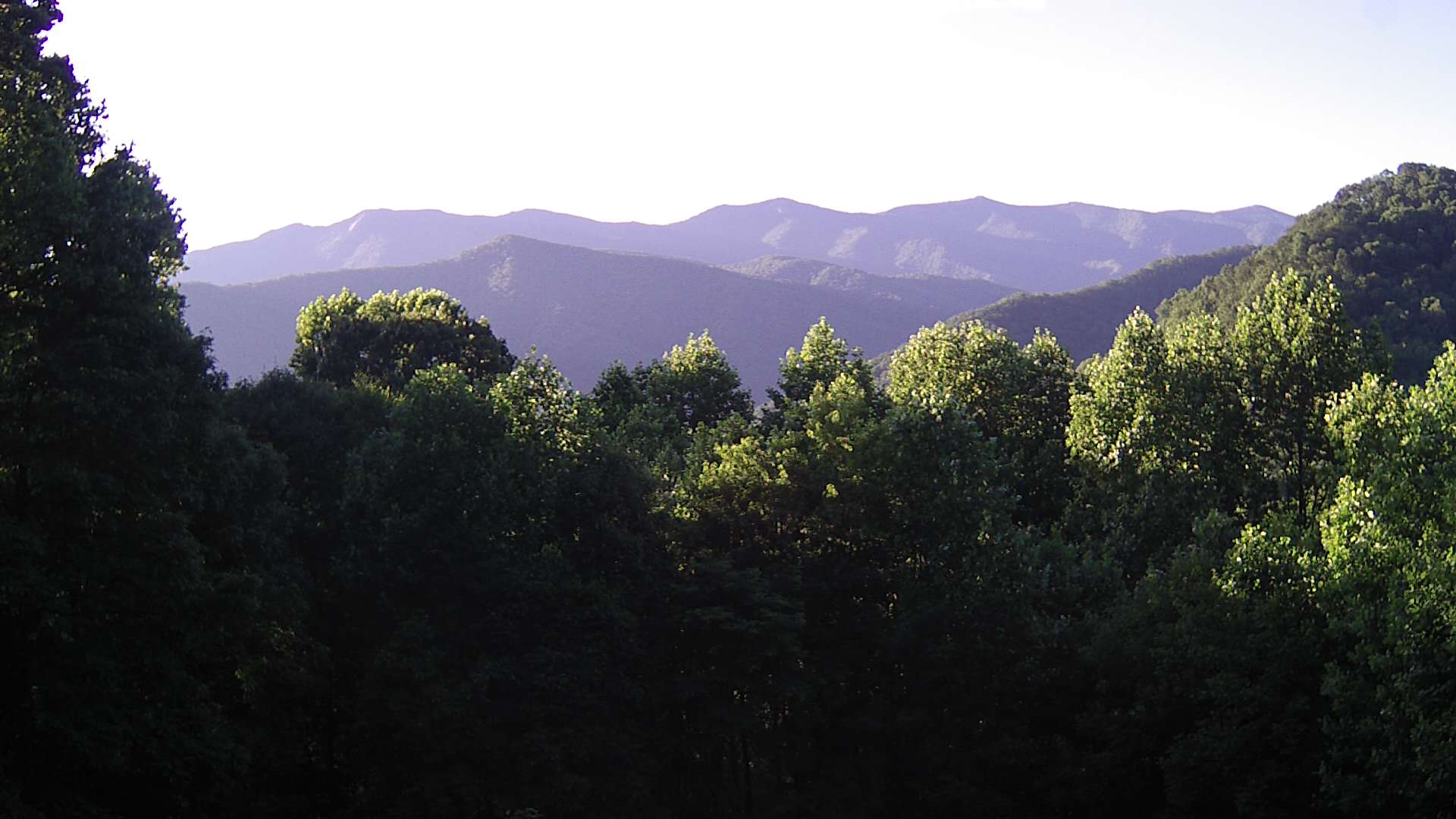 click for next image... slideshow image