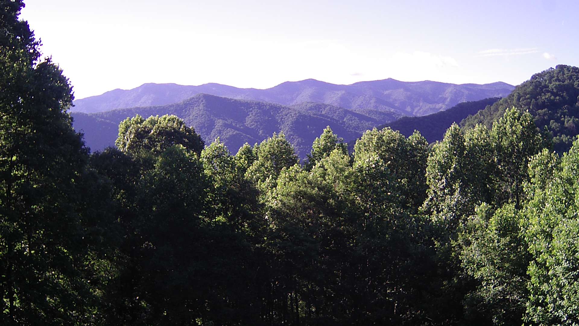 click for next image... slideshow image