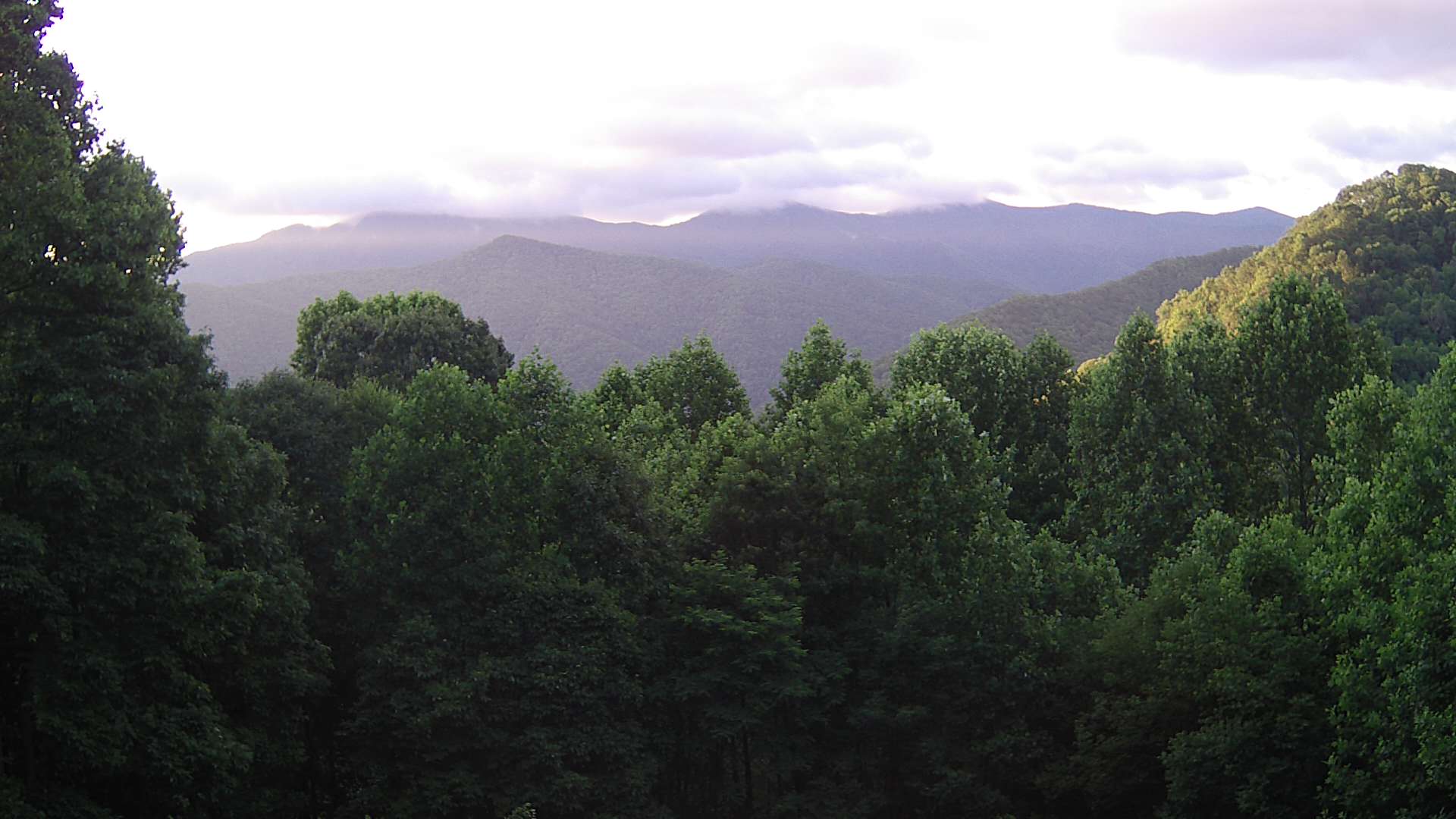 click for next image... slideshow image