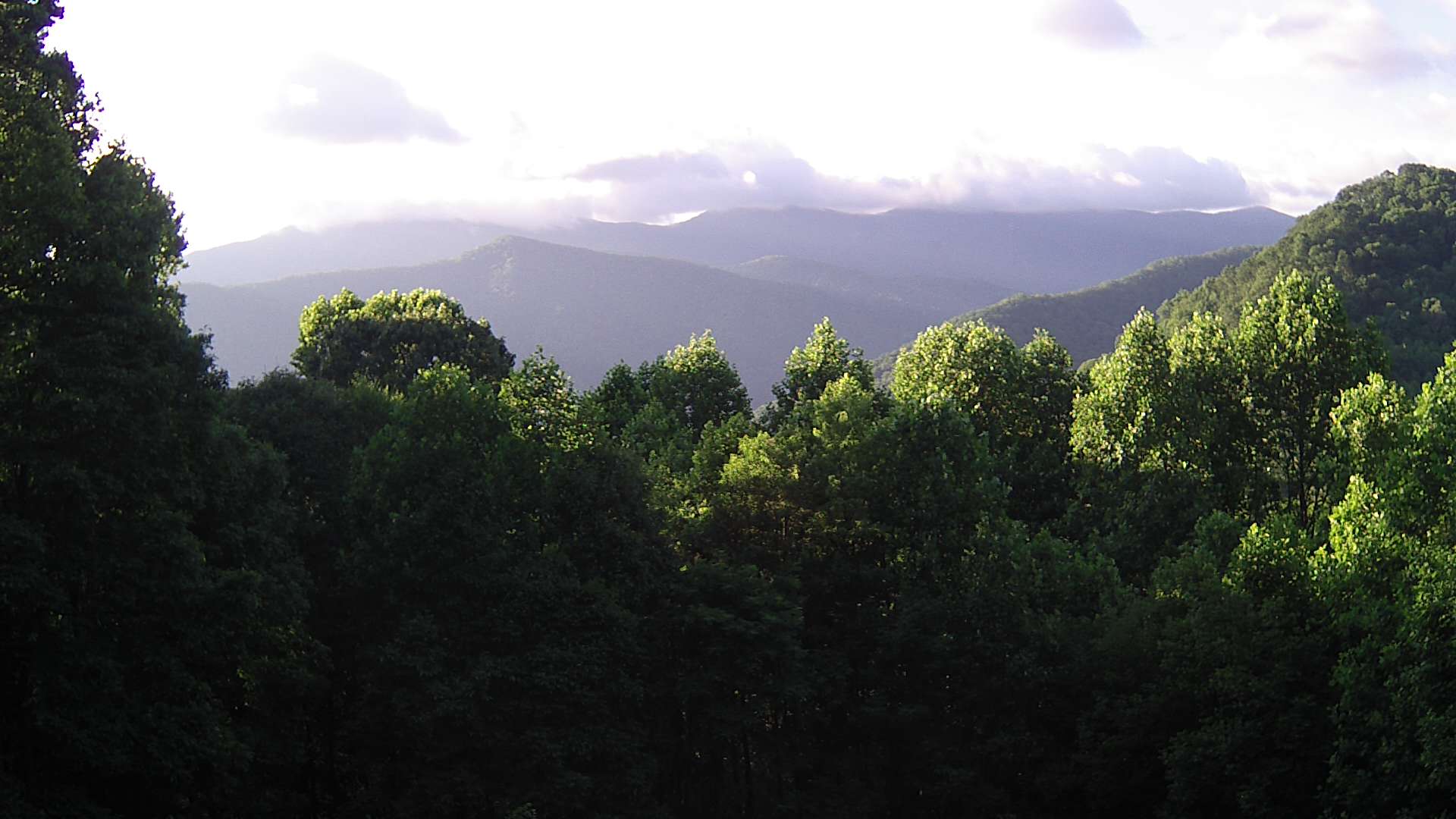click for next image... slideshow image