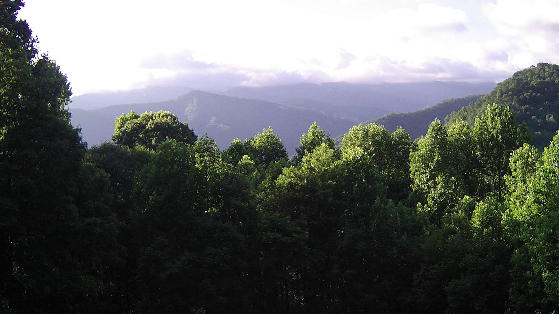click for next image... slideshow image