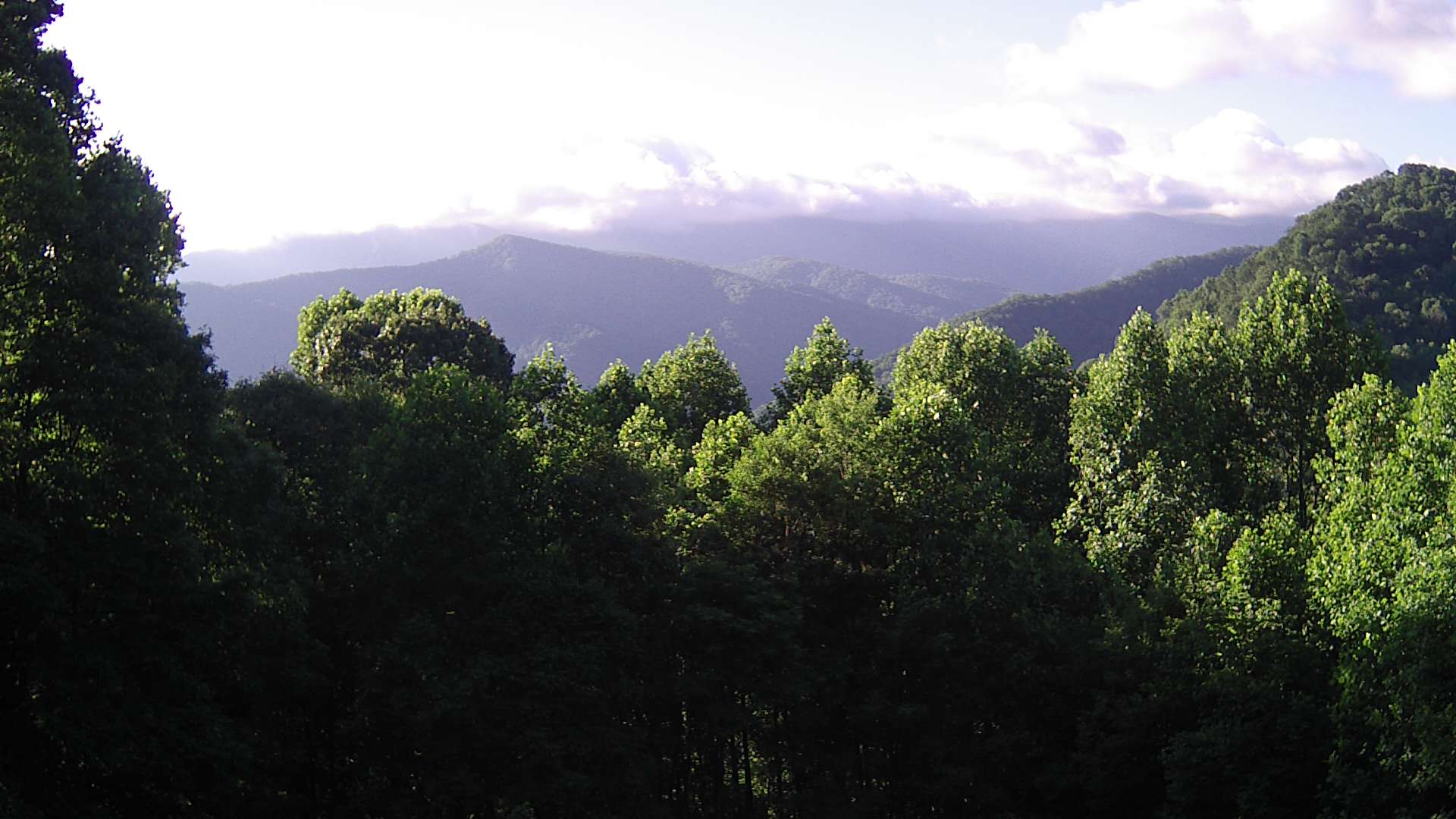 click for next image... slideshow image
