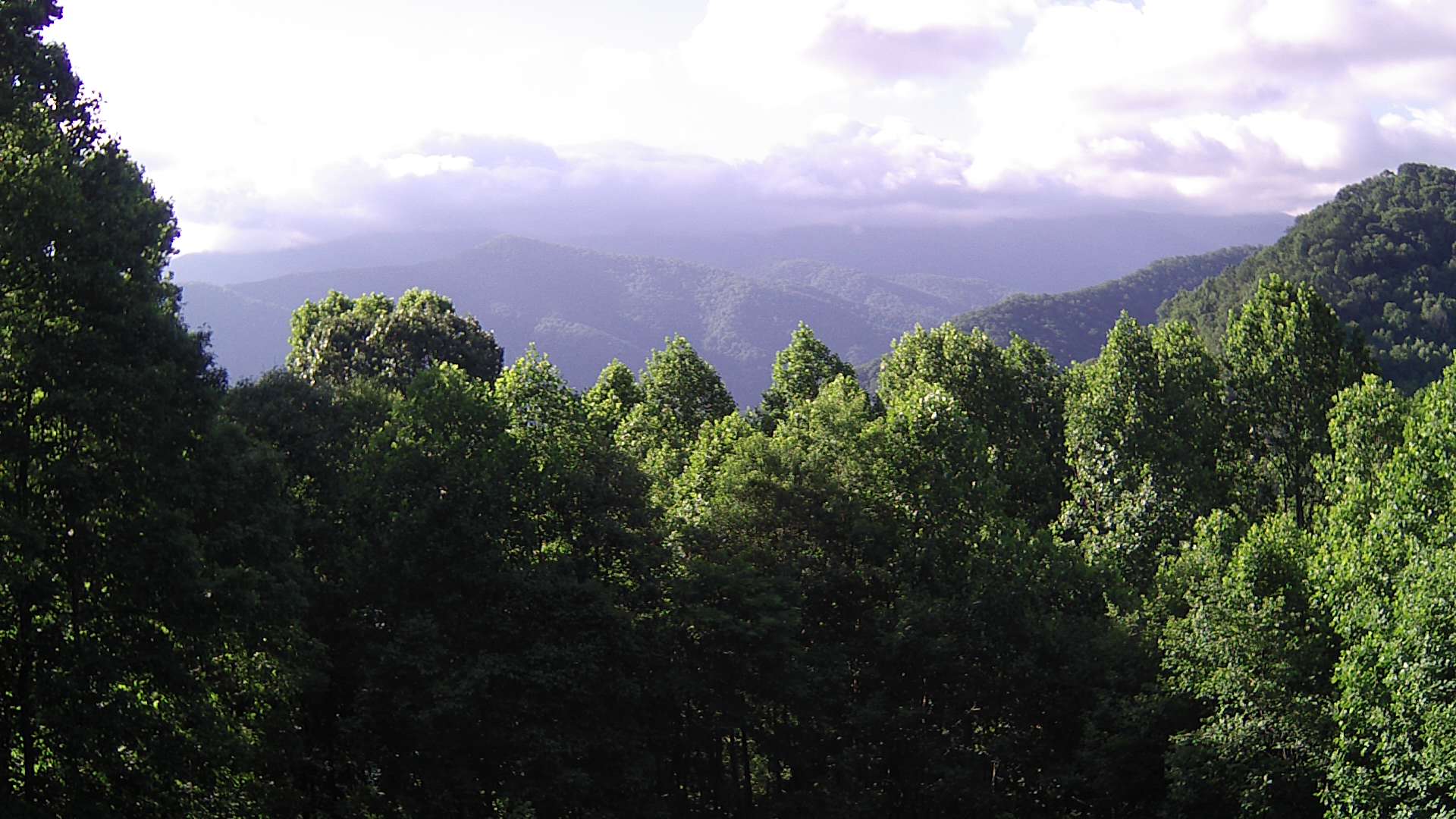 click for next image... slideshow image