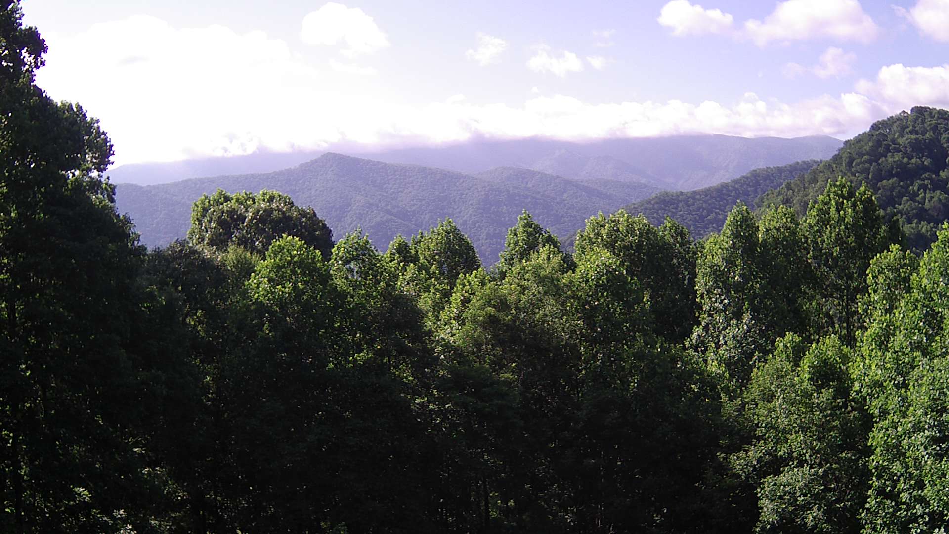 click for next image... slideshow image