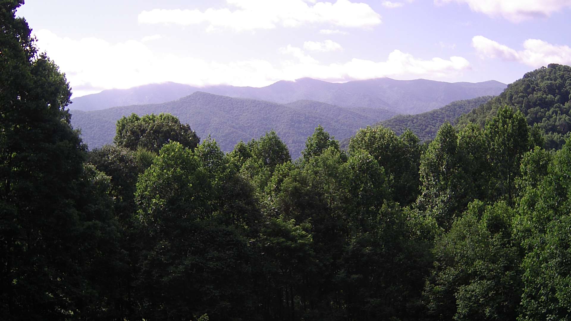 click for next image... slideshow image
