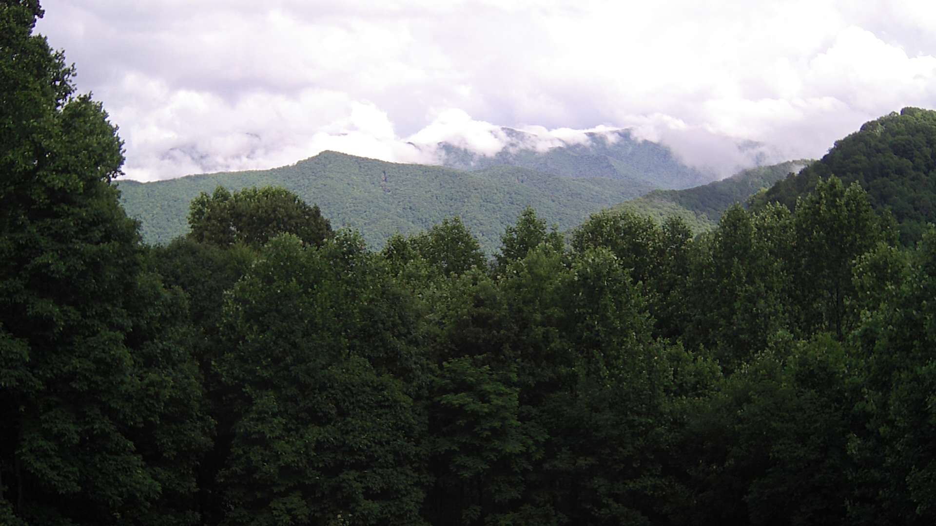 click for next image... slideshow image