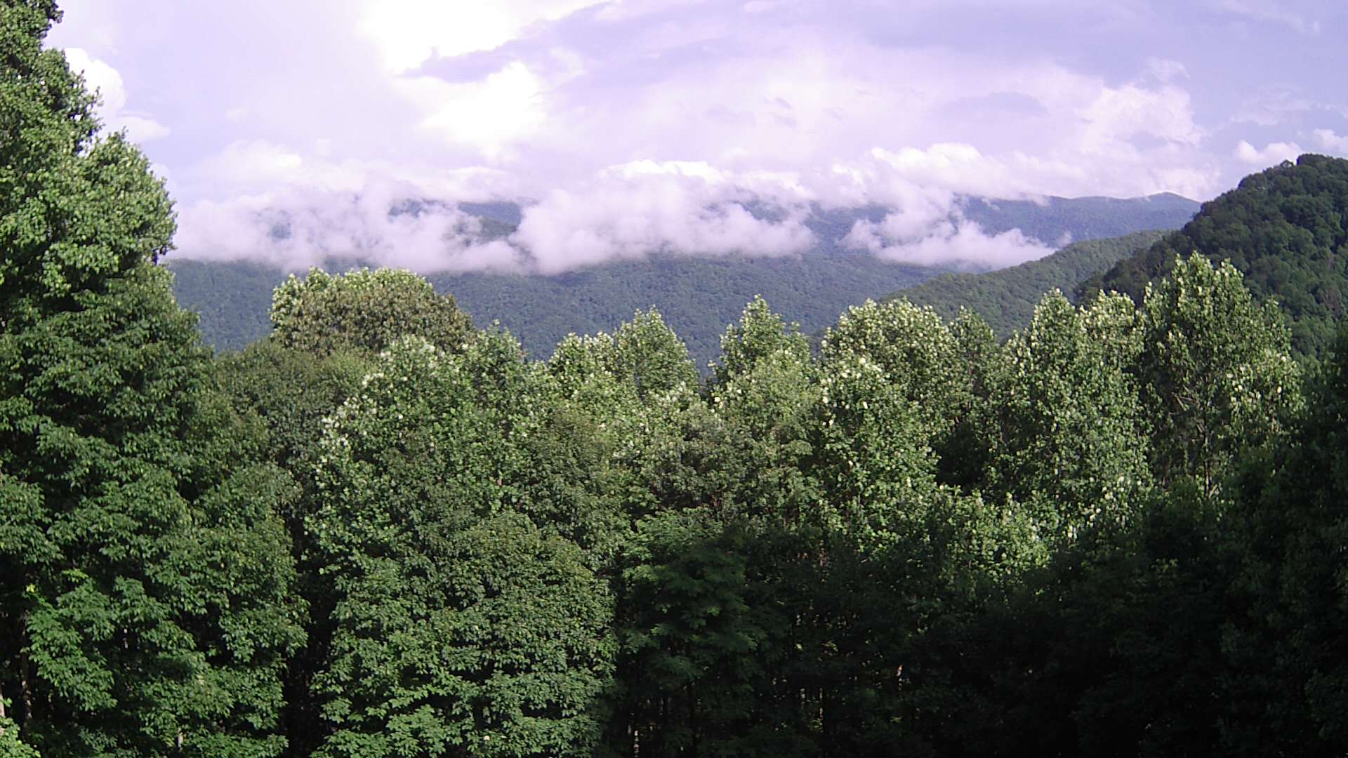 click for next image... slideshow image