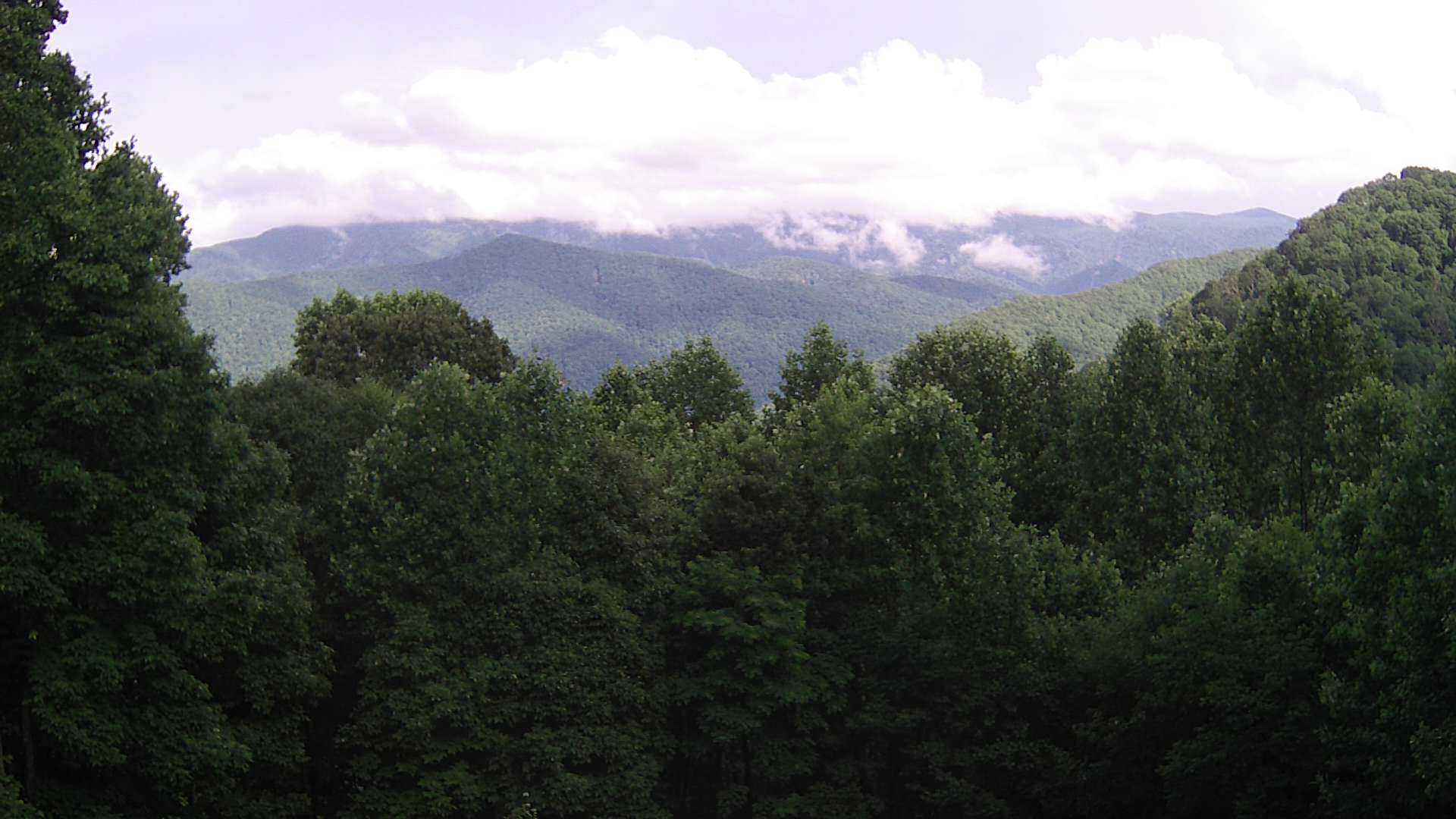 click for next image... slideshow image