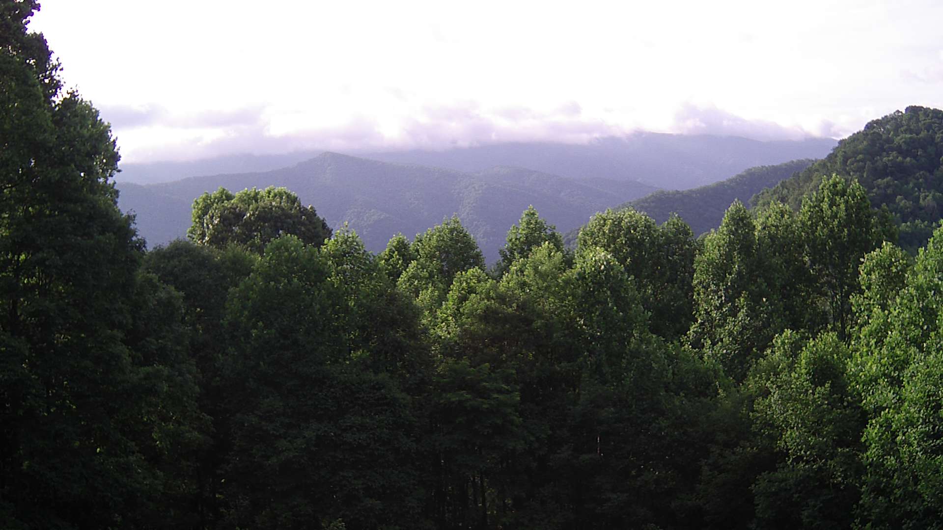 click for next image... slideshow image