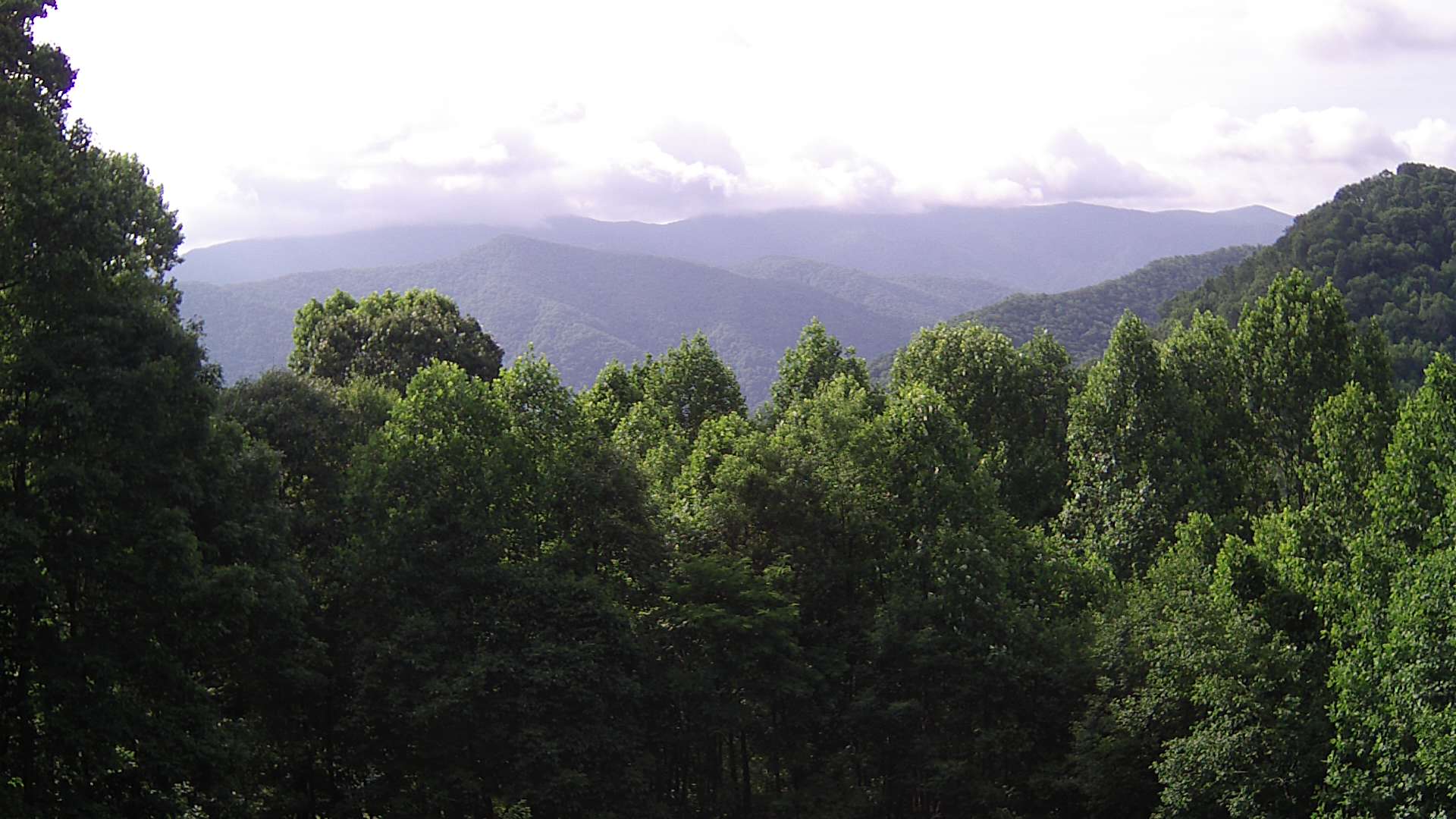 click for next image... slideshow image