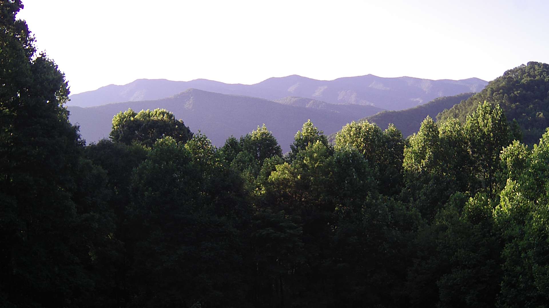 click for next image... slideshow image