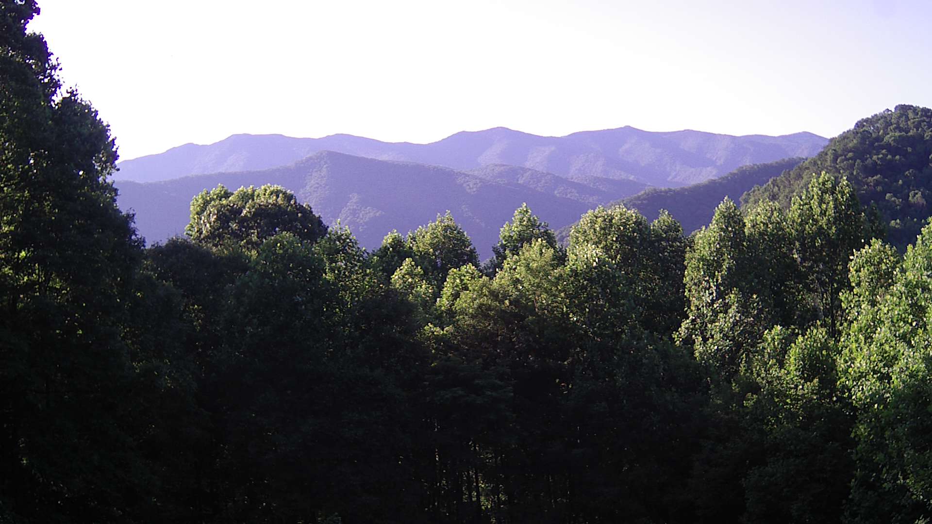 click for next image... slideshow image