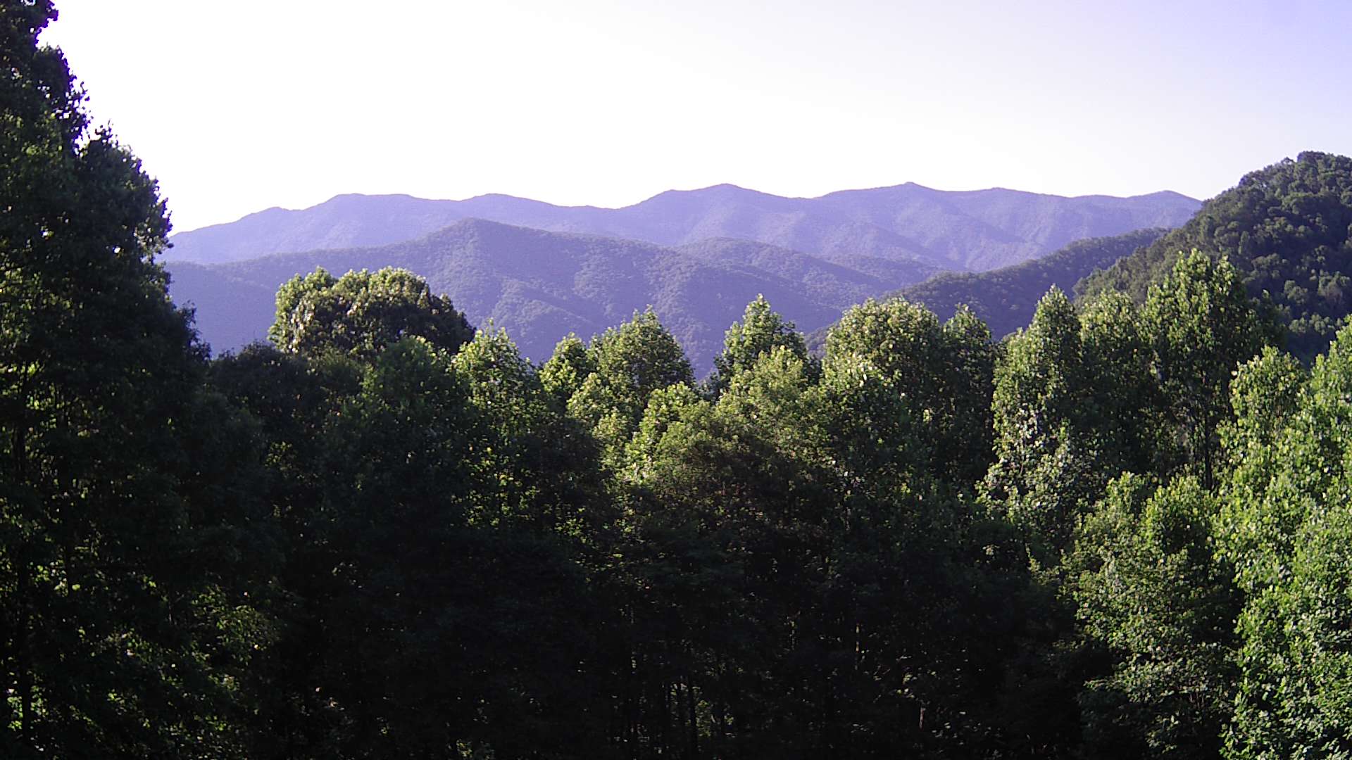 click for next image... slideshow image