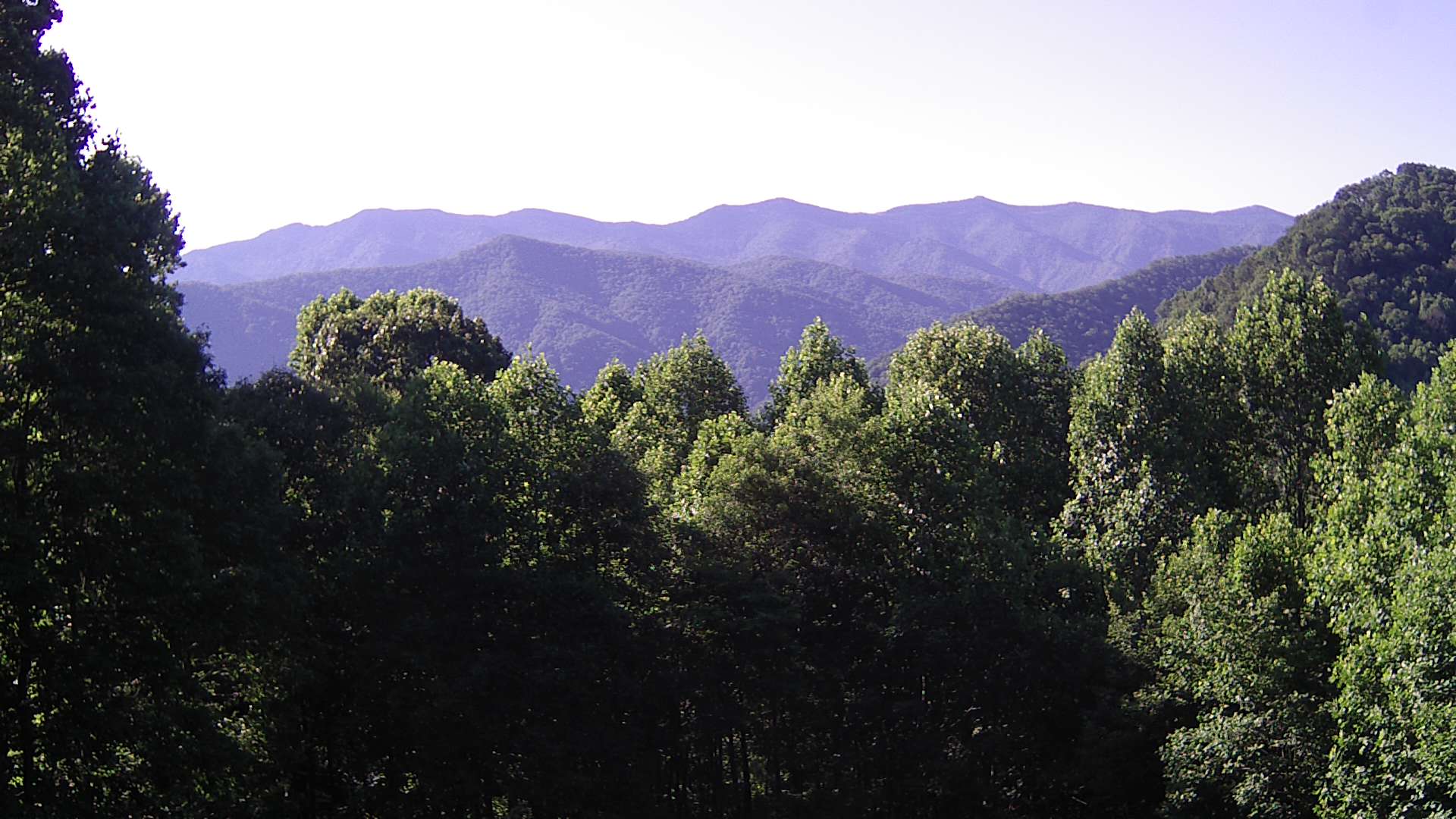 click for next image... slideshow image