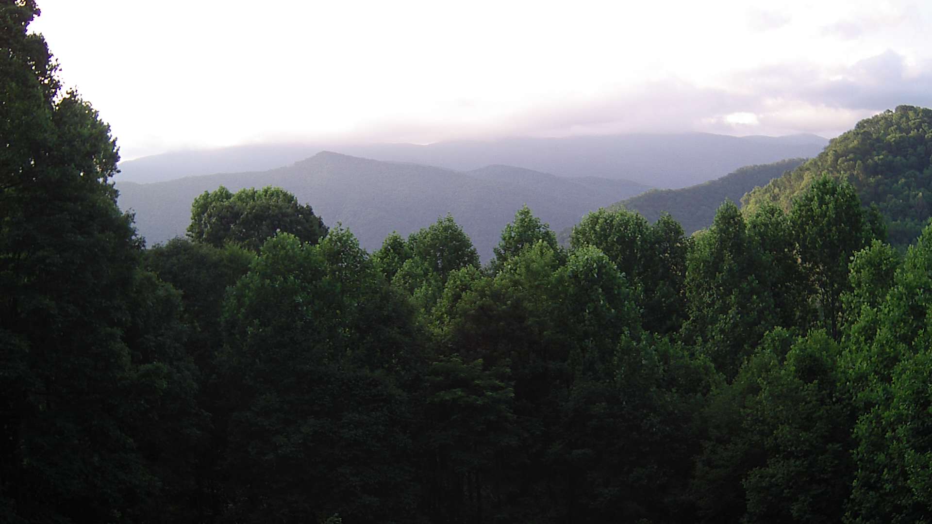 click for next image... slideshow image