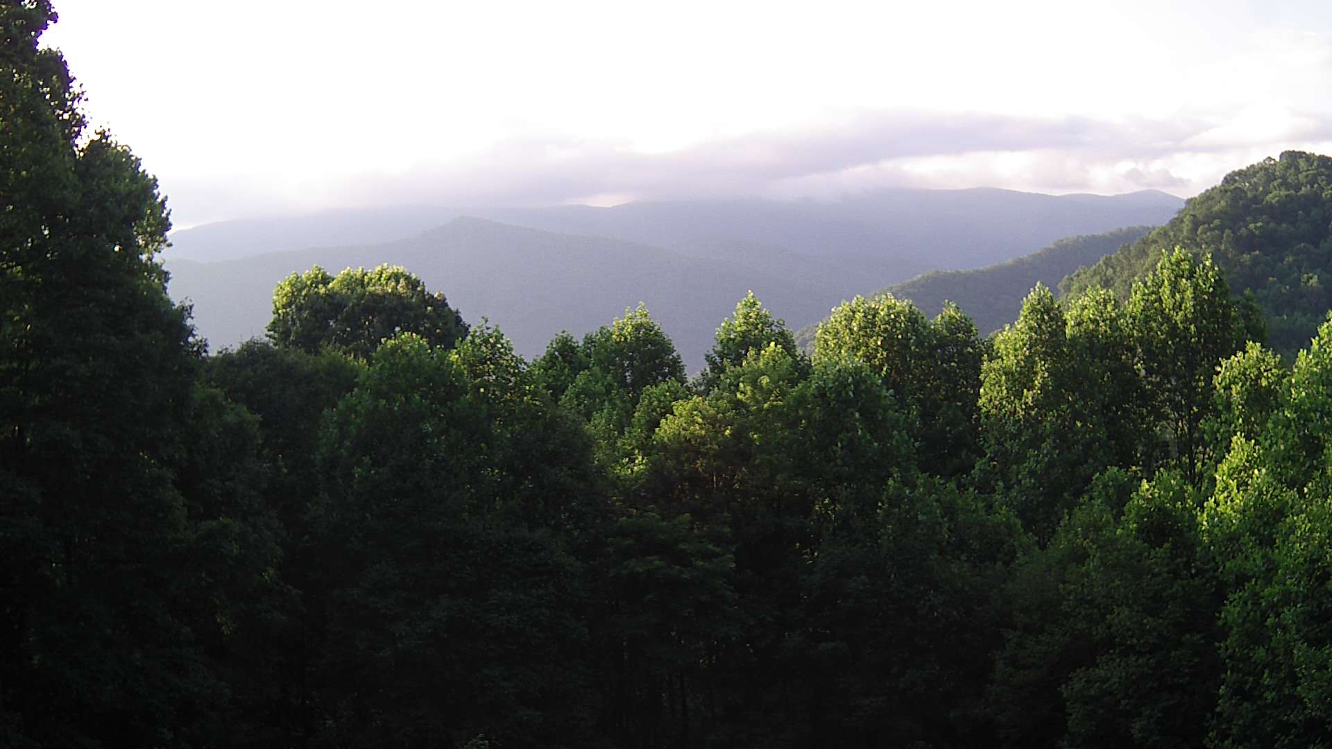 click for next image... slideshow image