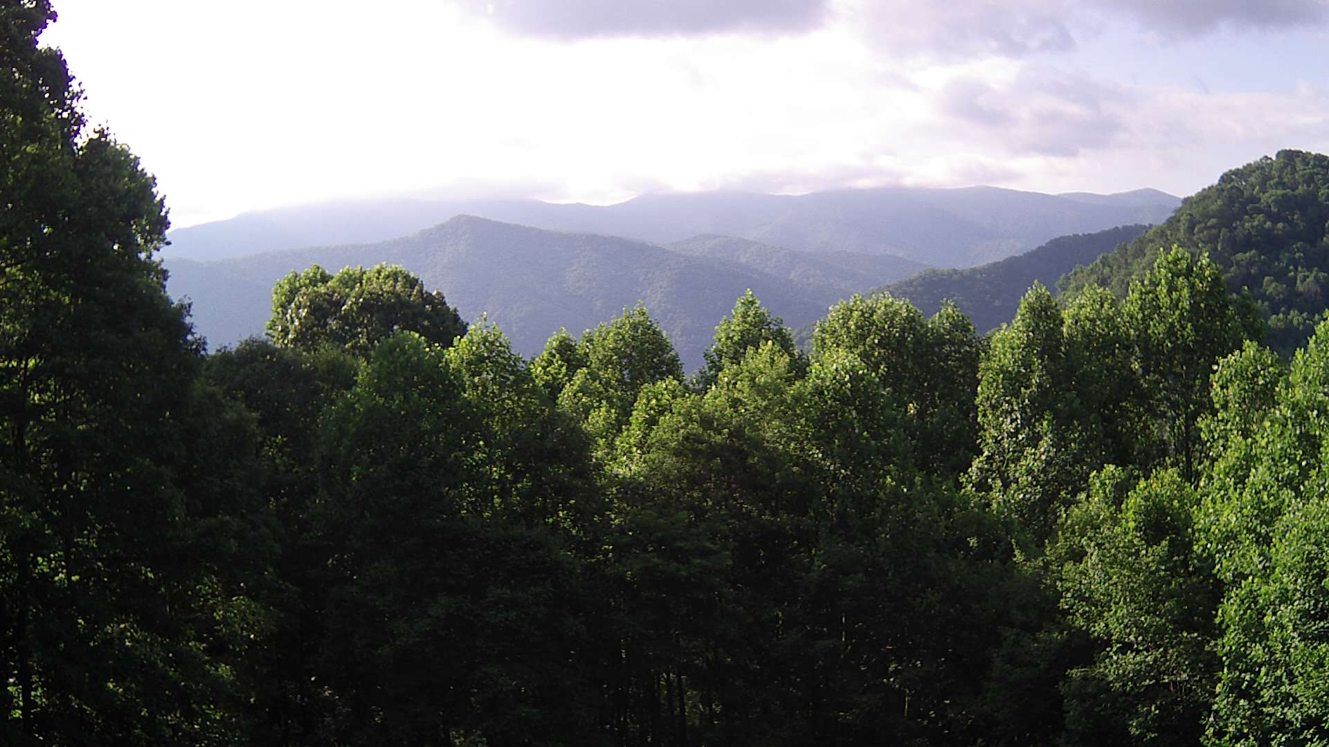 click for next image... slideshow image