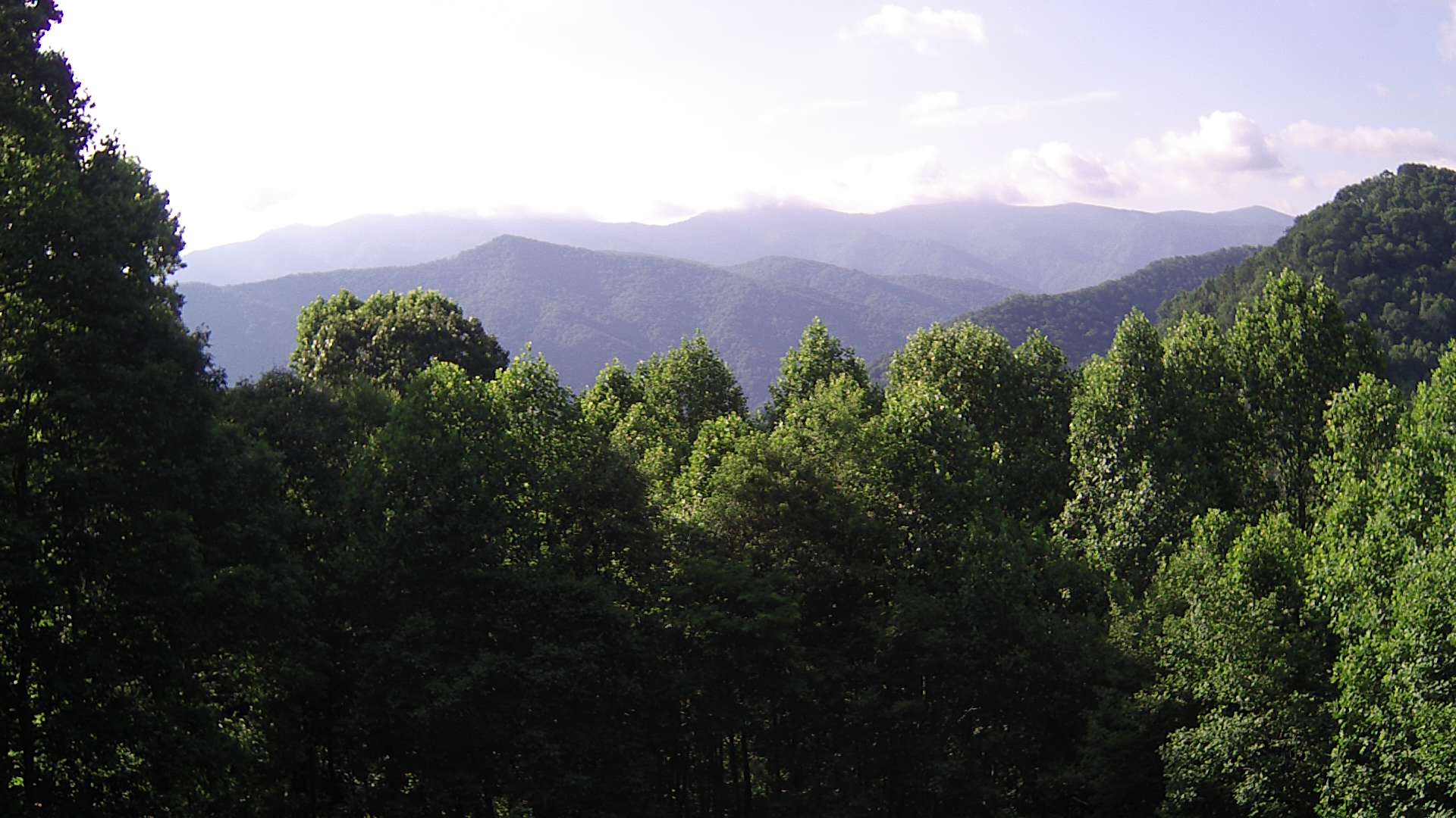 click for next image... slideshow image