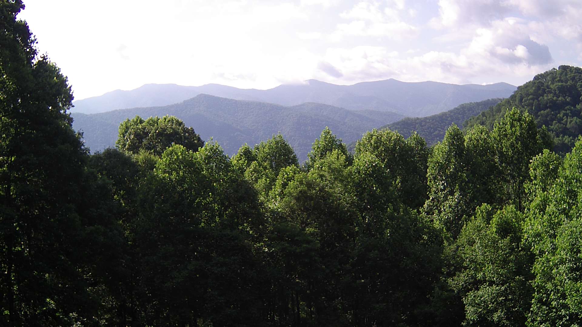 click for next image... slideshow image