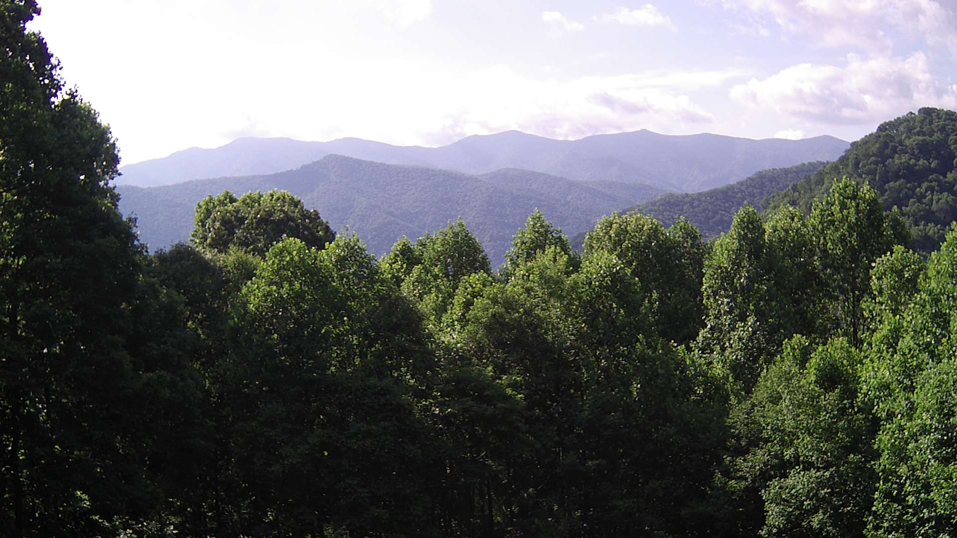 click for next image... slideshow image