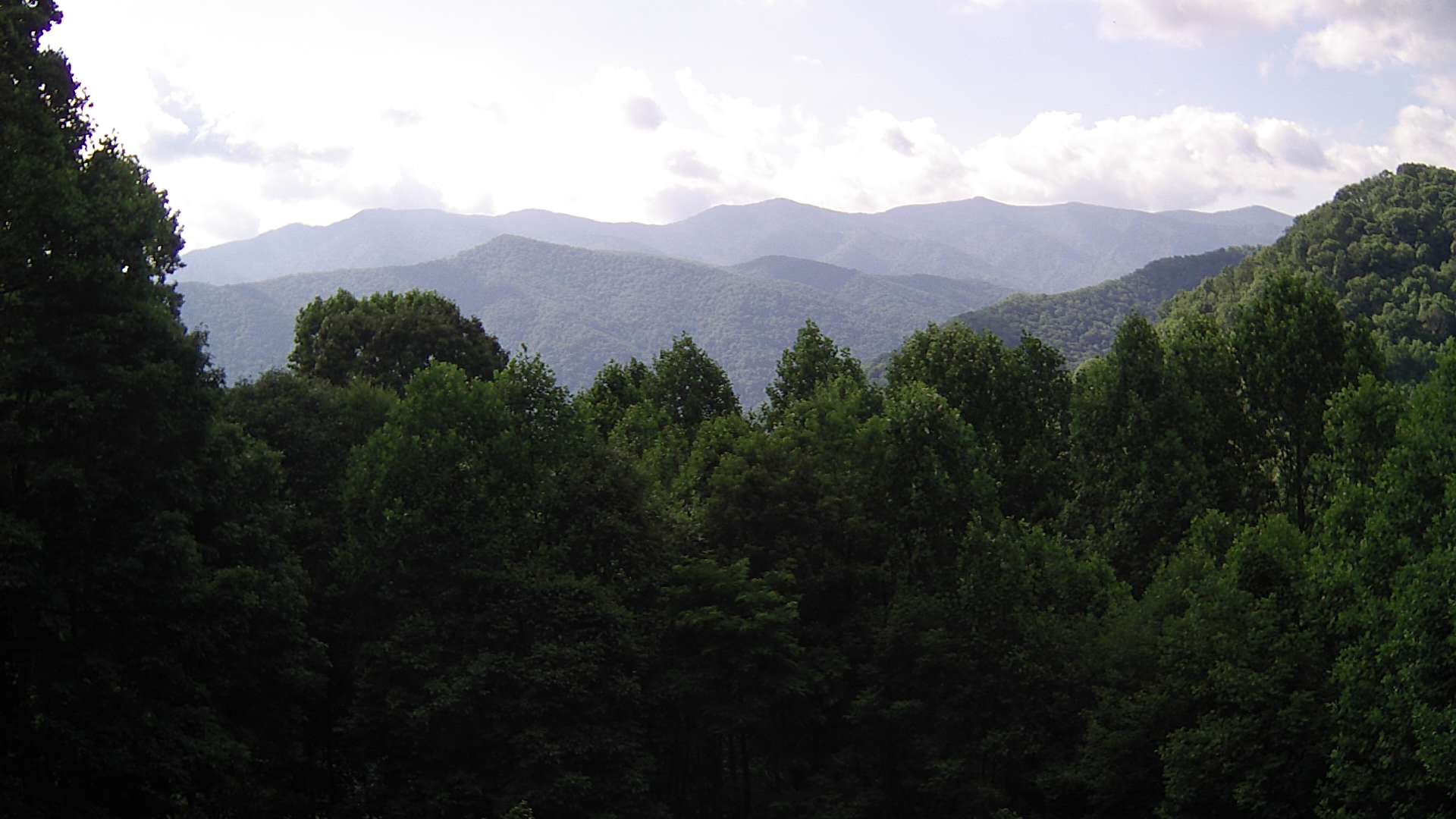 click for next image... slideshow image