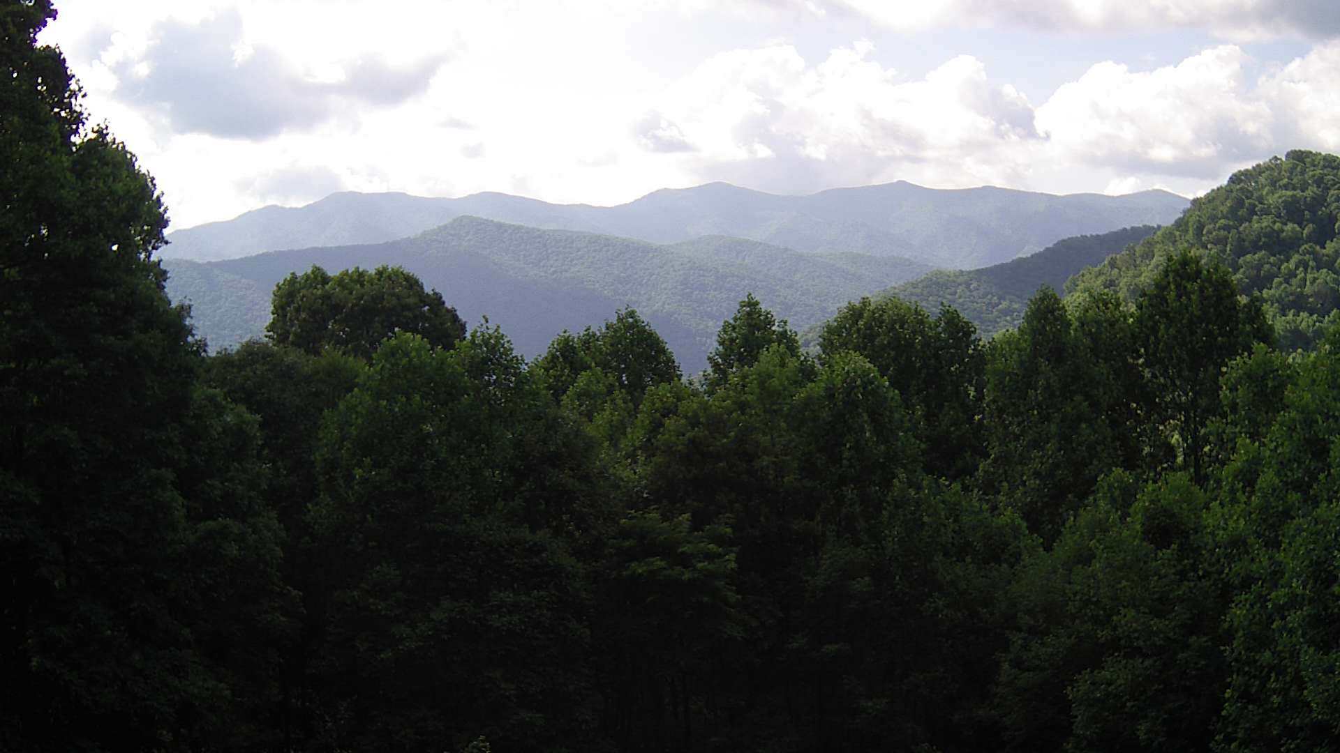 click for next image... slideshow image