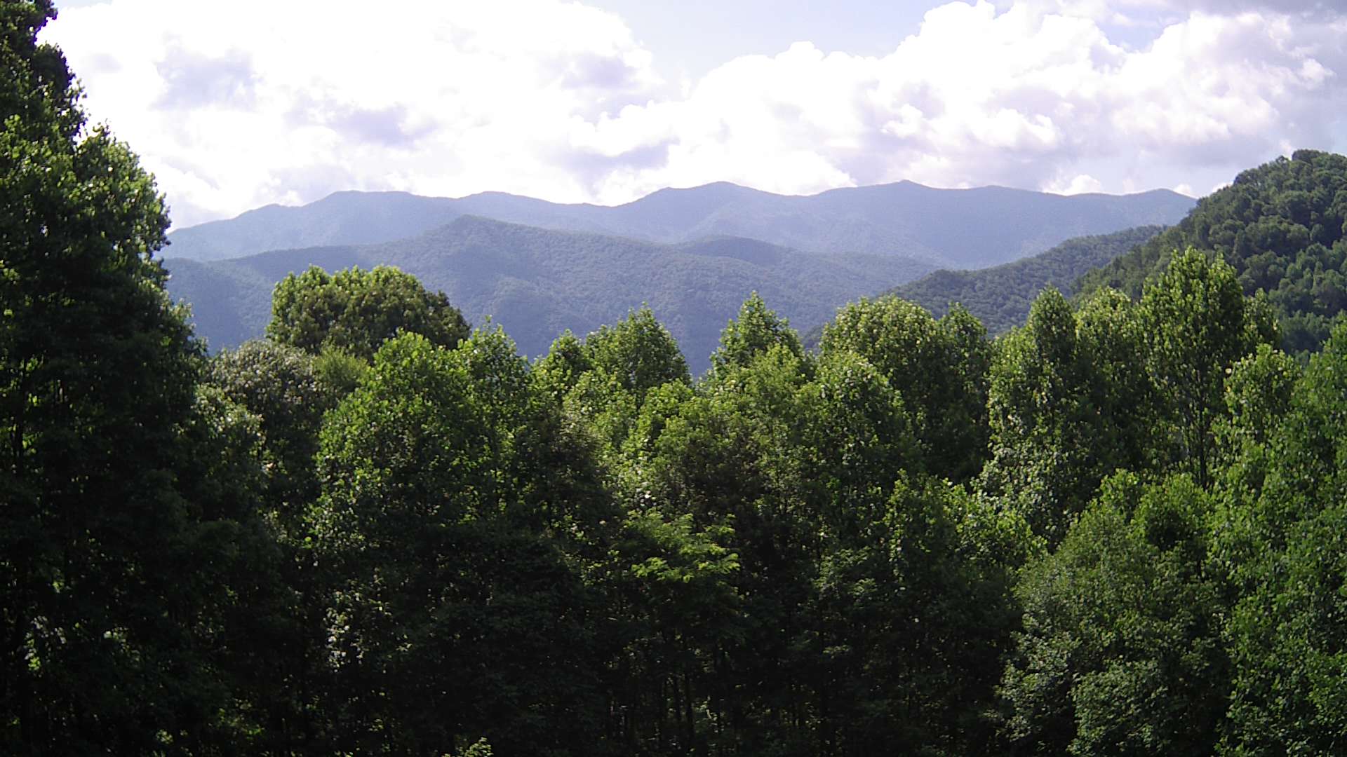 click for next image... slideshow image