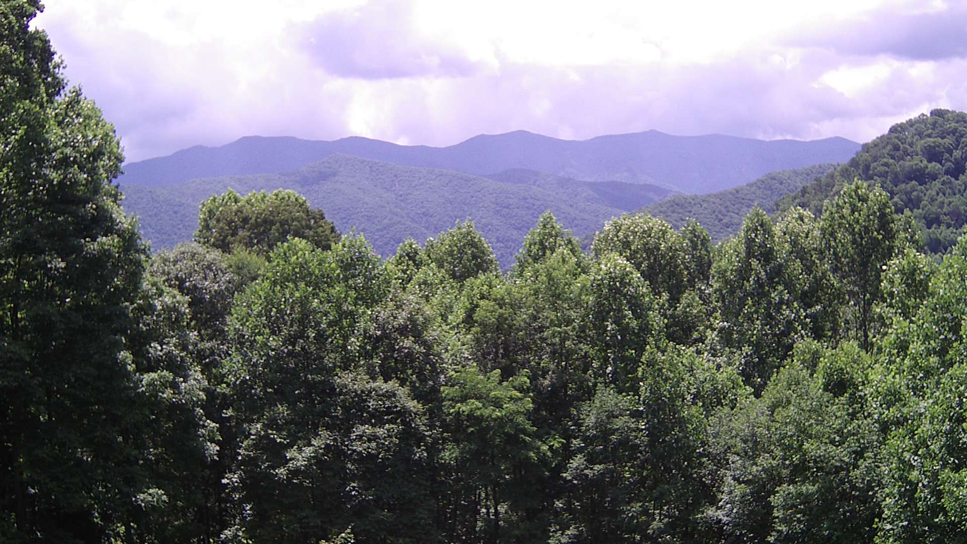 click for next image... slideshow image